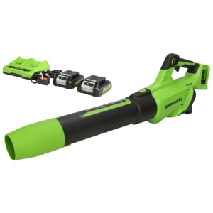 Greenworks Cordless Axial Blower 48V with 2 x 24V 2Ah Batteries & Charger
