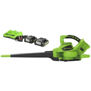 Greenworks Cordless Blow and Vac C/W 48V 2 x 24V 4Ah Batteries & Charger