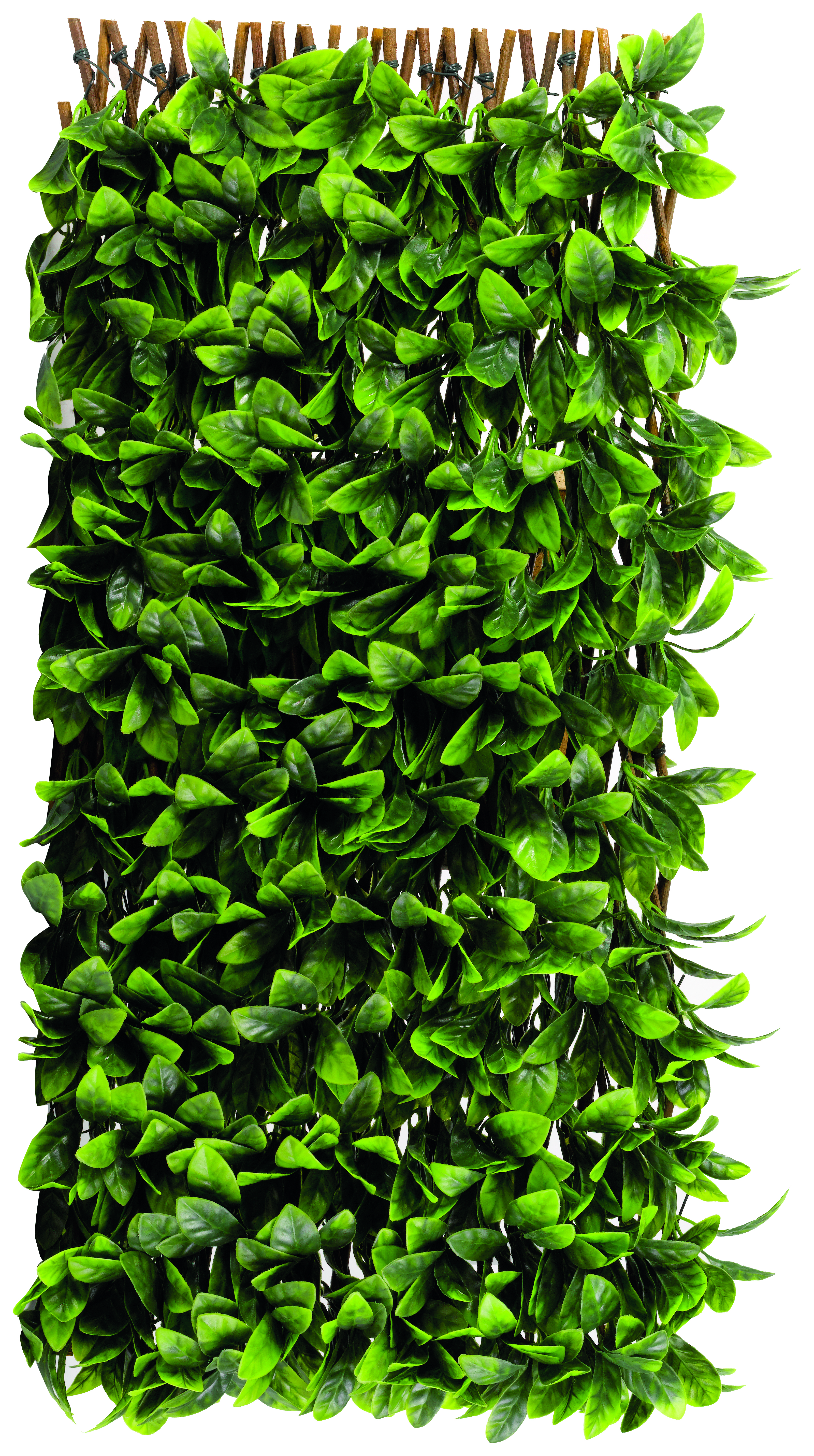 Smart Garden Lemon Leaf Trellis - 180 x 90cm