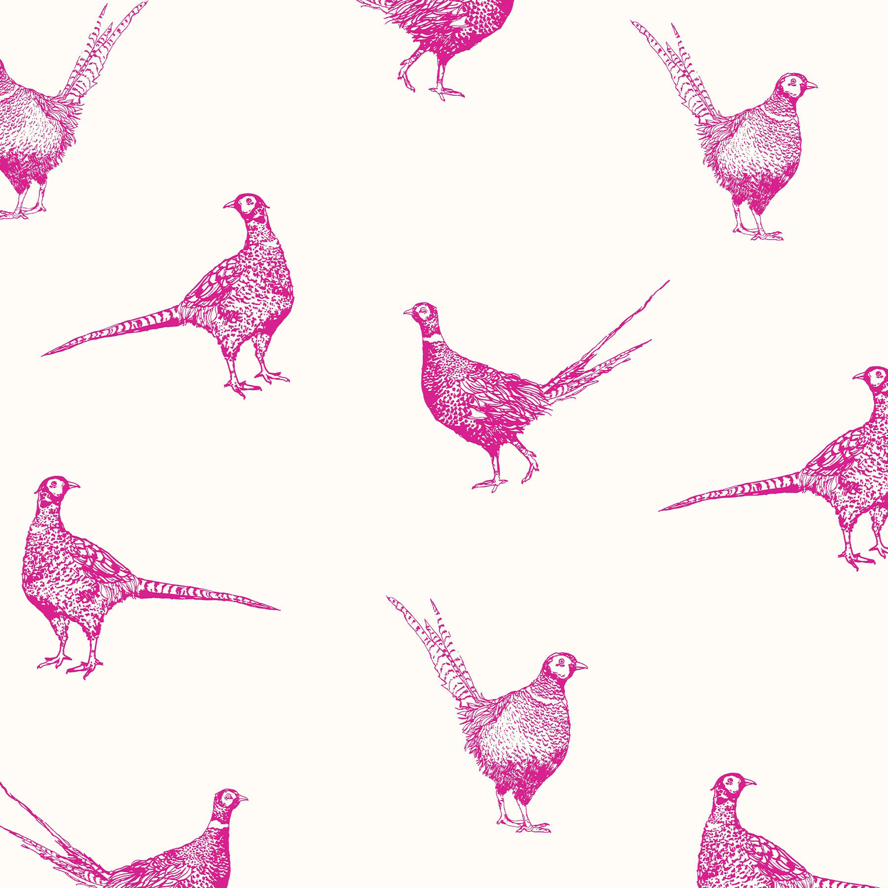Joules Flirty Pheasants Truly Pink Wallpaper - 10m x 52cm