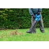 Wickes leaf clearance blower bag
