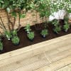 Wicks outlet top soil