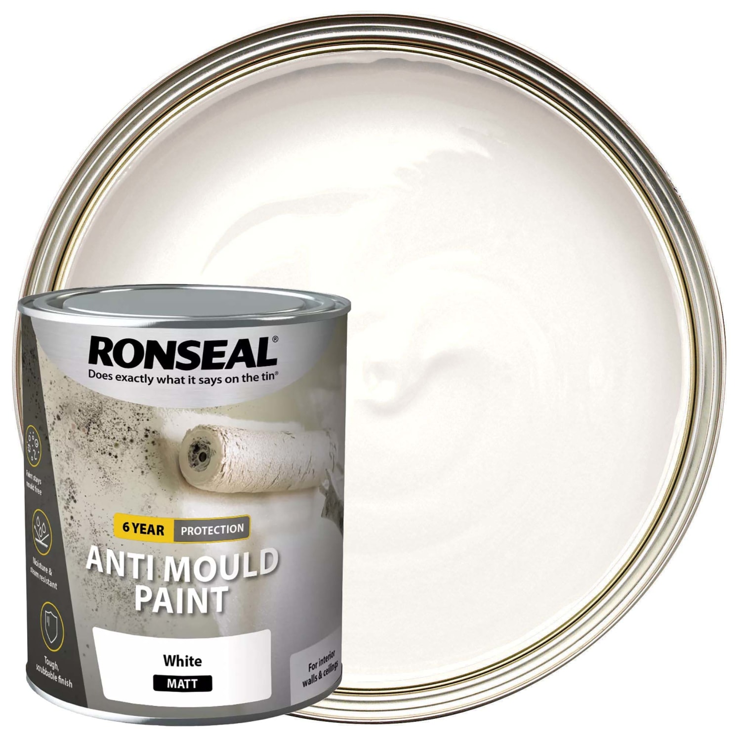 Anti mold best sale paint