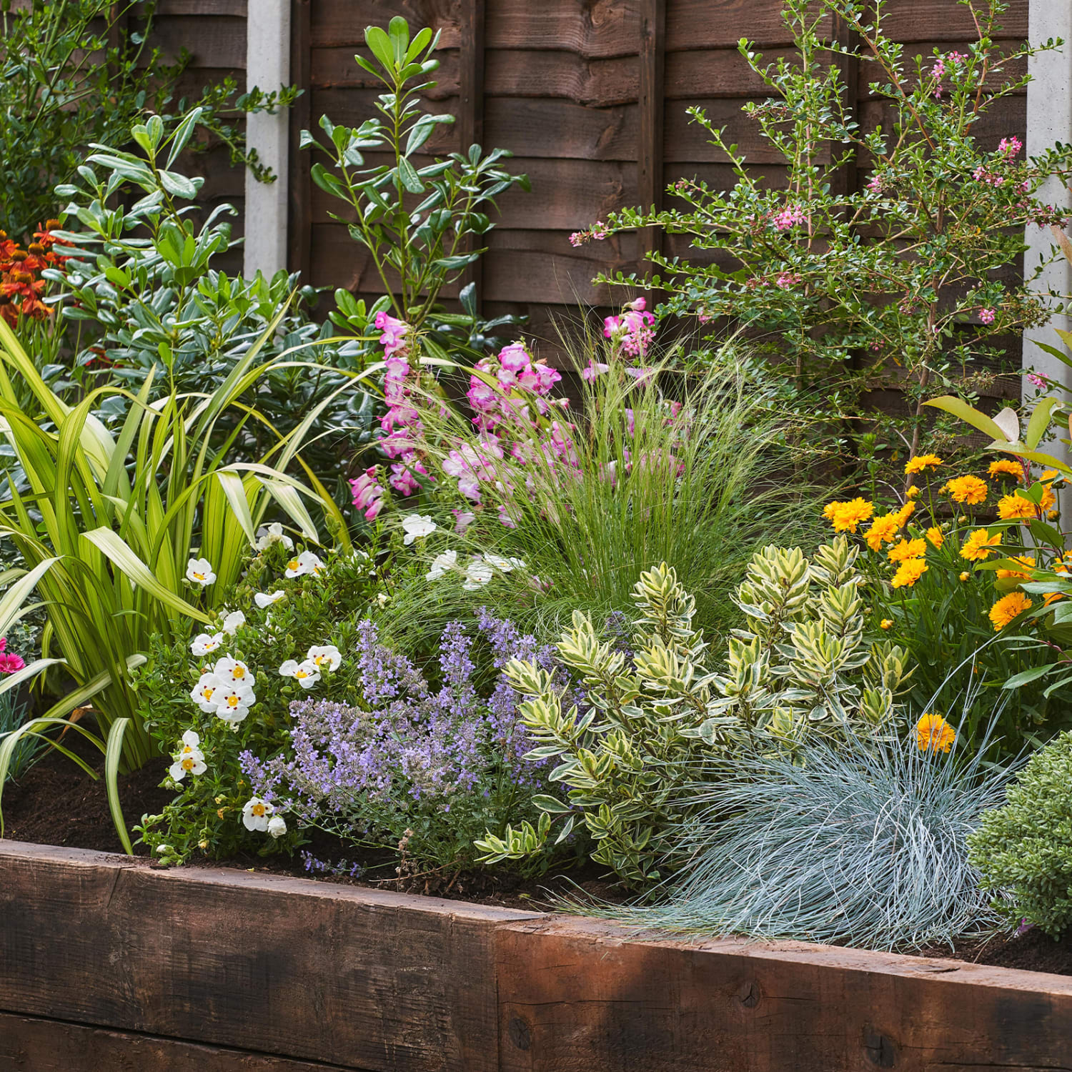 Garden On A Roll Mixed Sunny Border - W900mm x 3m to 10m | Wickes.co.uk
