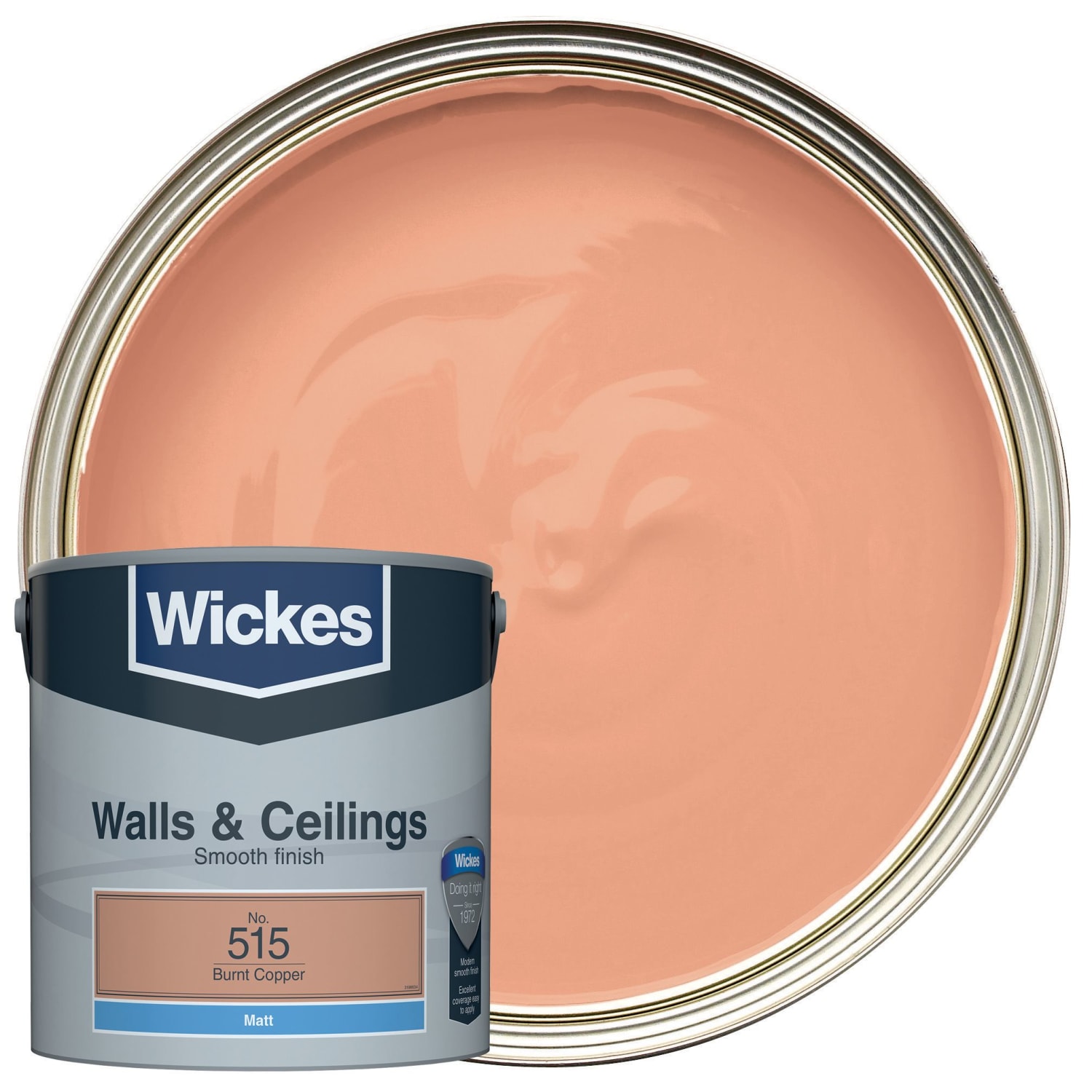 Copper paint shop