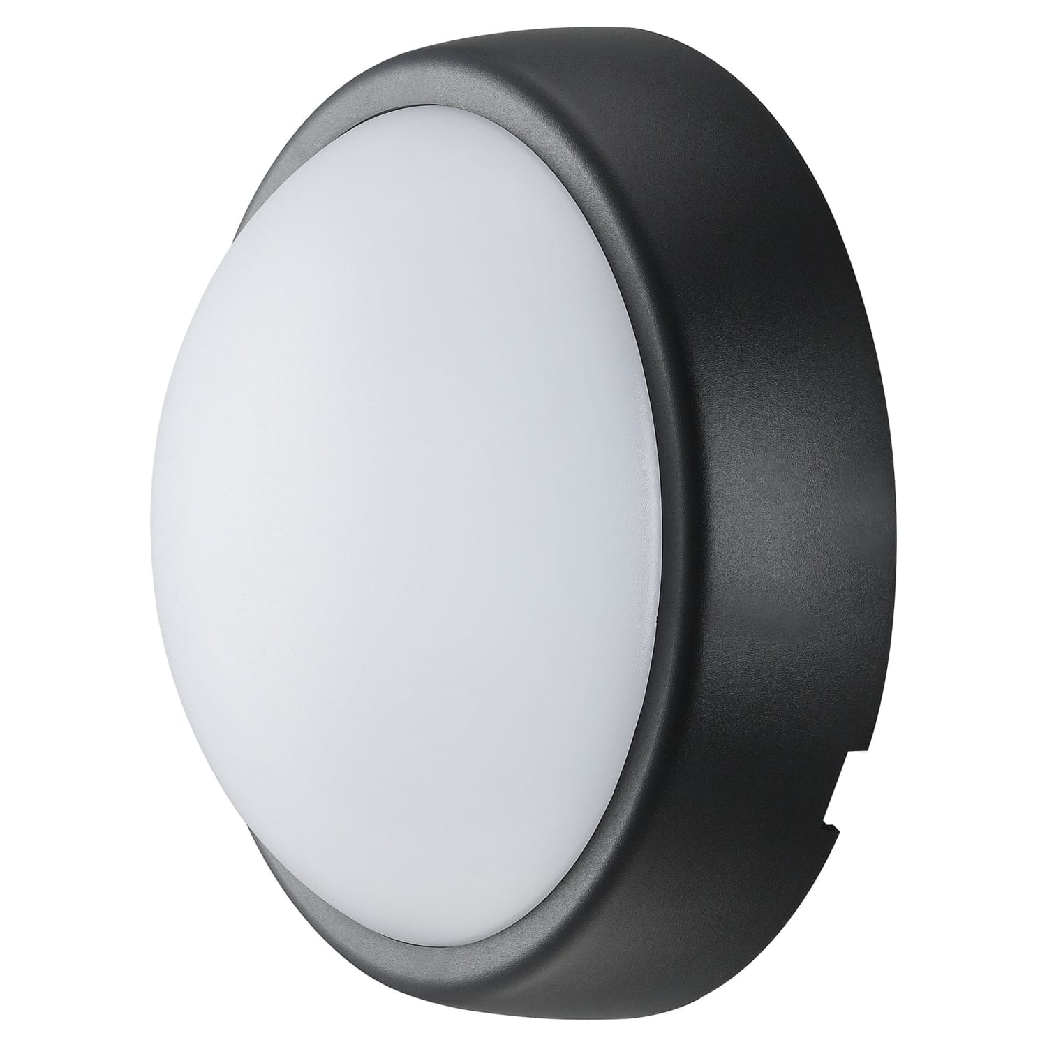 Round bulkhead 2025 wall light