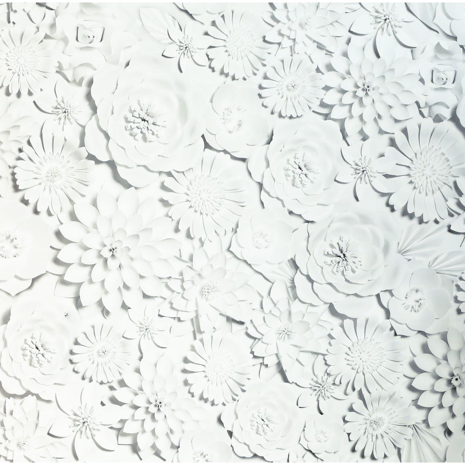 Arthouse 3D Flower Wall White Wallpaper  x 53cm 