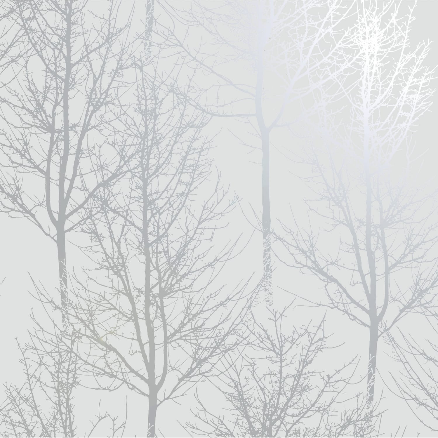 Grey and silver on sale wallpaper