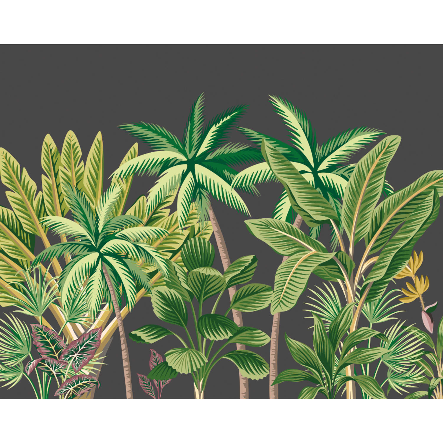 Tropical palm online