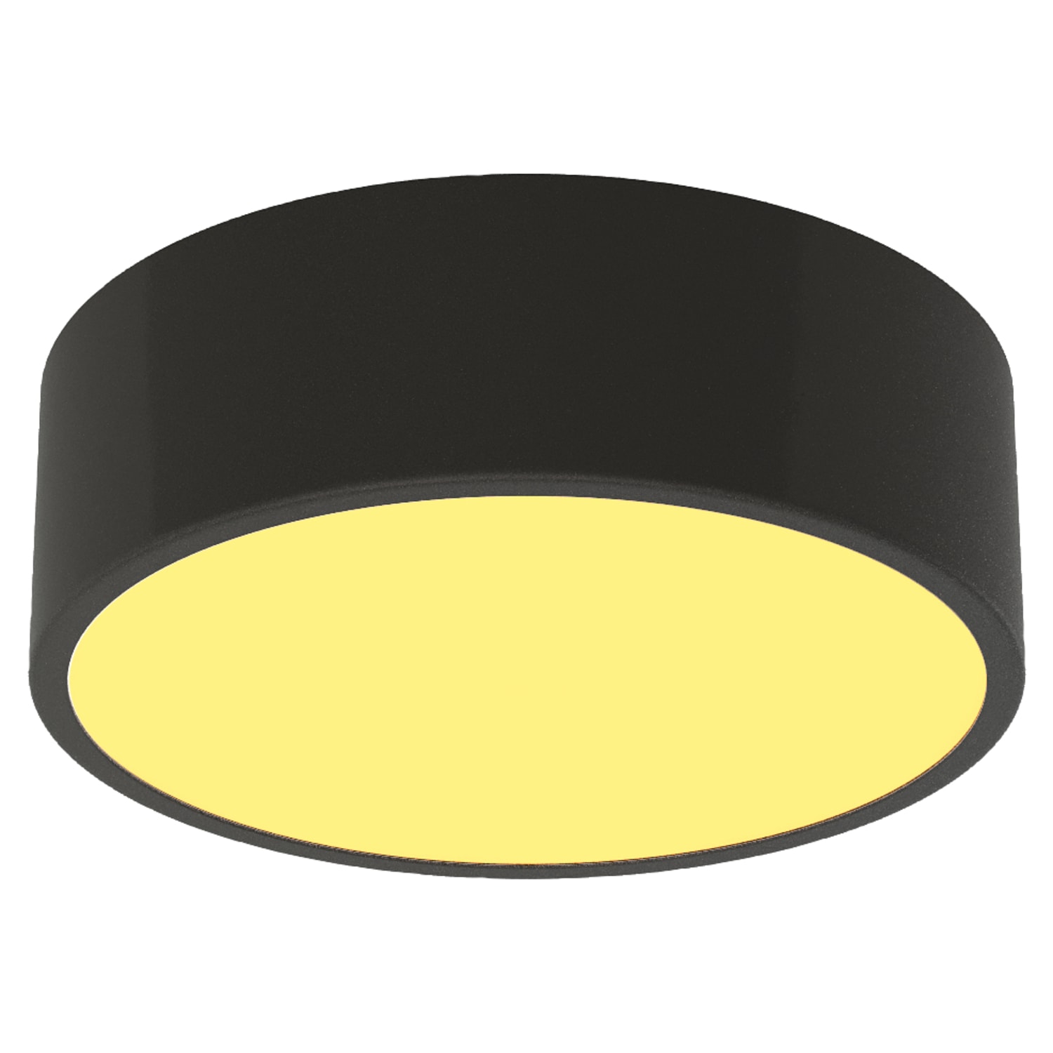 Black bathroom ceiling light shop
