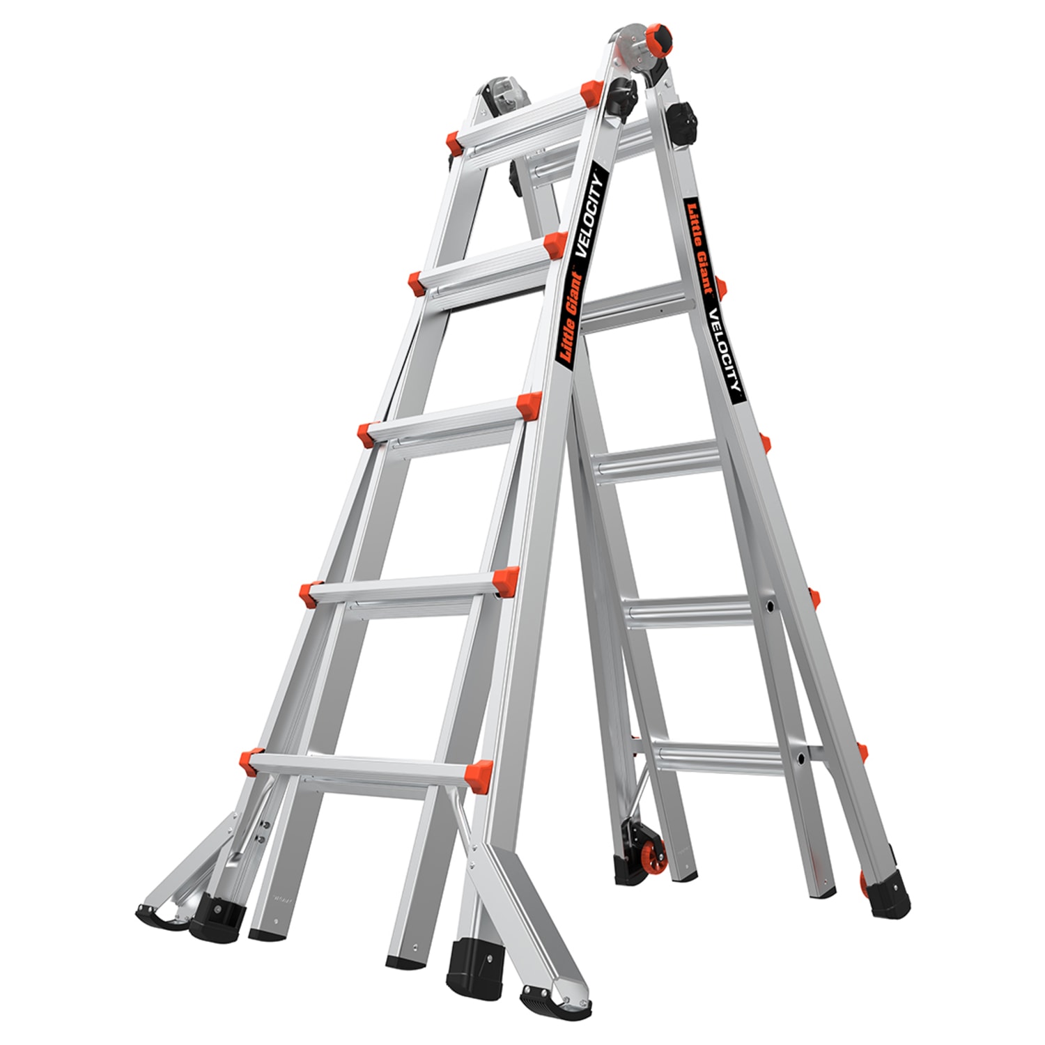Little giant 2025 5 step ladder
