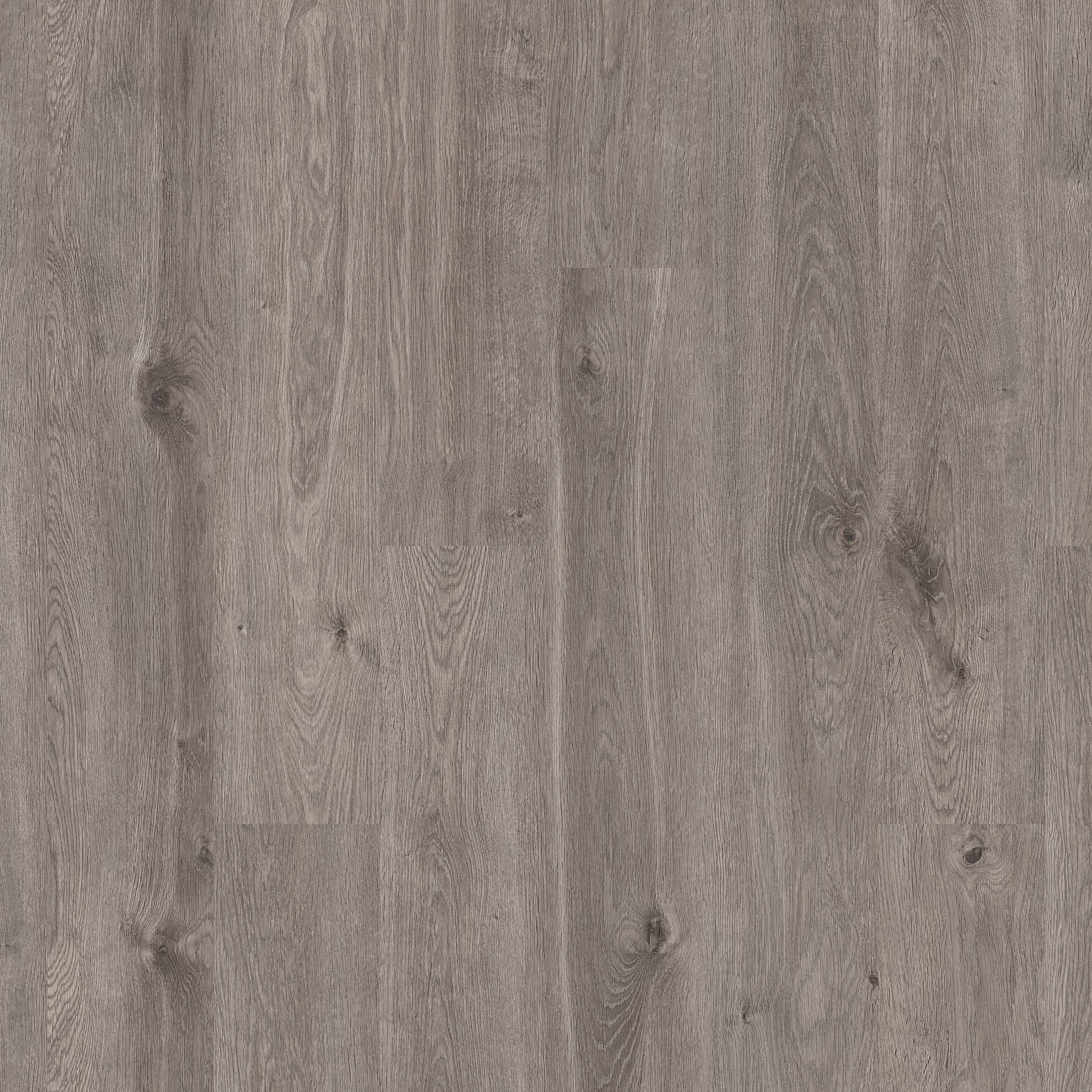 Modsætte sig Bolt melodramatiske Elderwood Medium Grey Oak 12mm Laminate Flooring - 1.48m2 | Wickes.co.uk