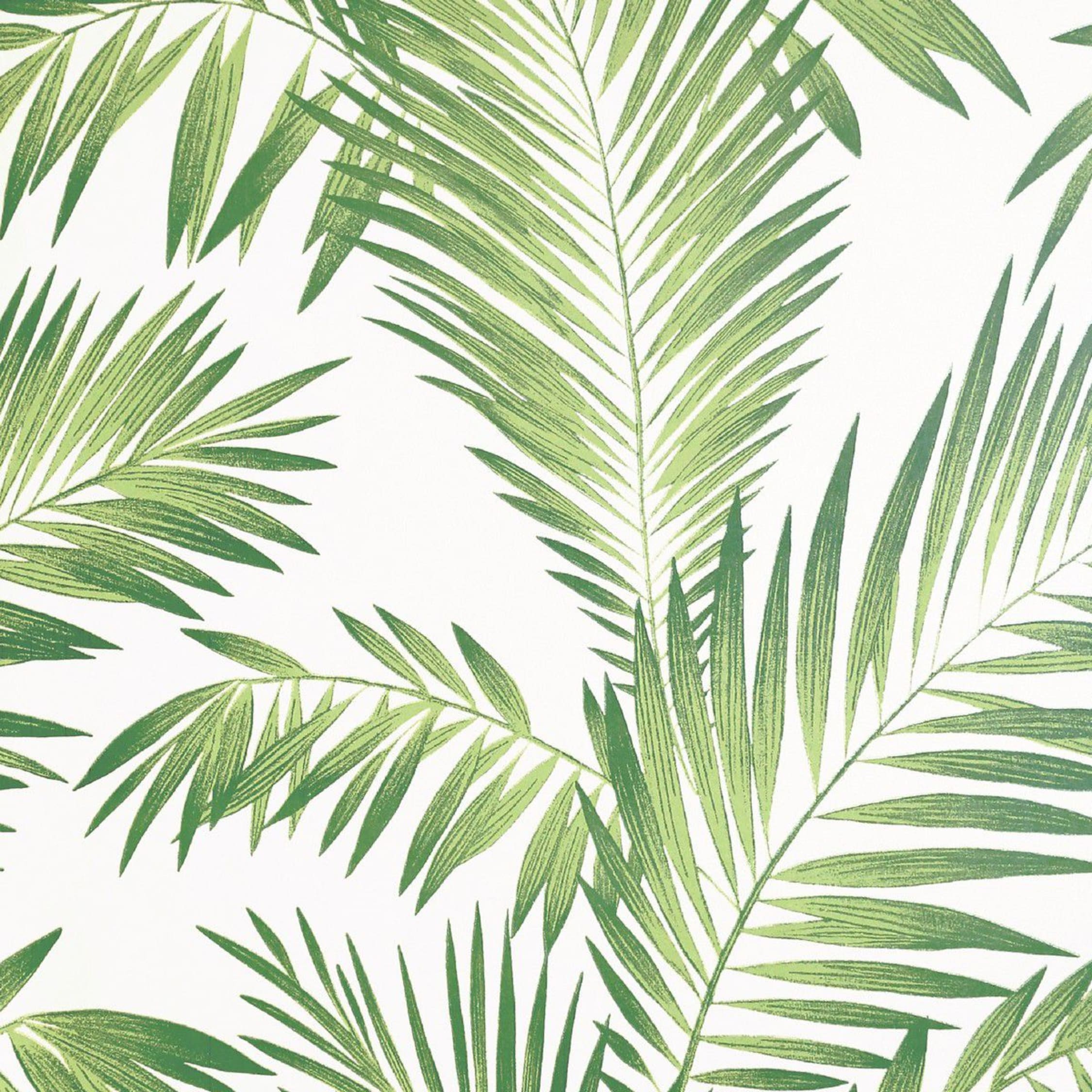 Artistick Tropical Palm Leaves Self Adhesive Wallpaper 6m X 53cm Wickes Co Uk