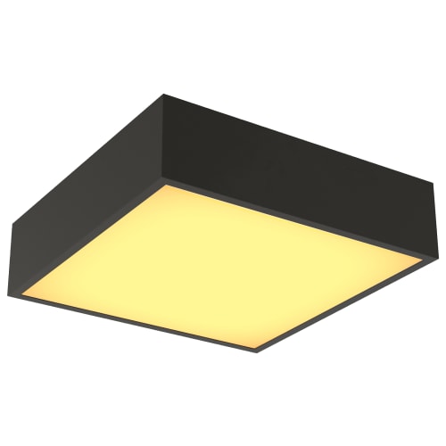 Square 2024 black light
