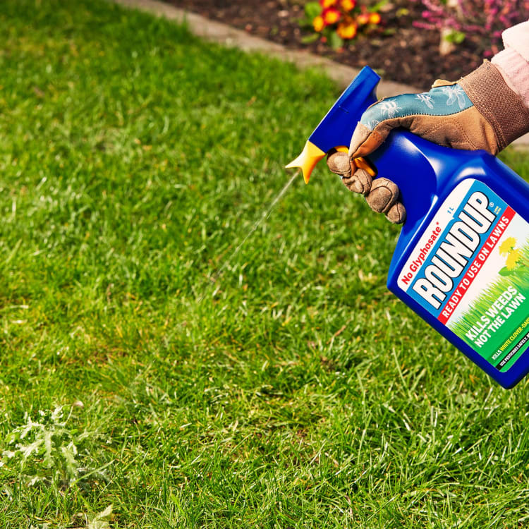 Roundup Lawn Ultra Ready to Use Weed Killer - 1L