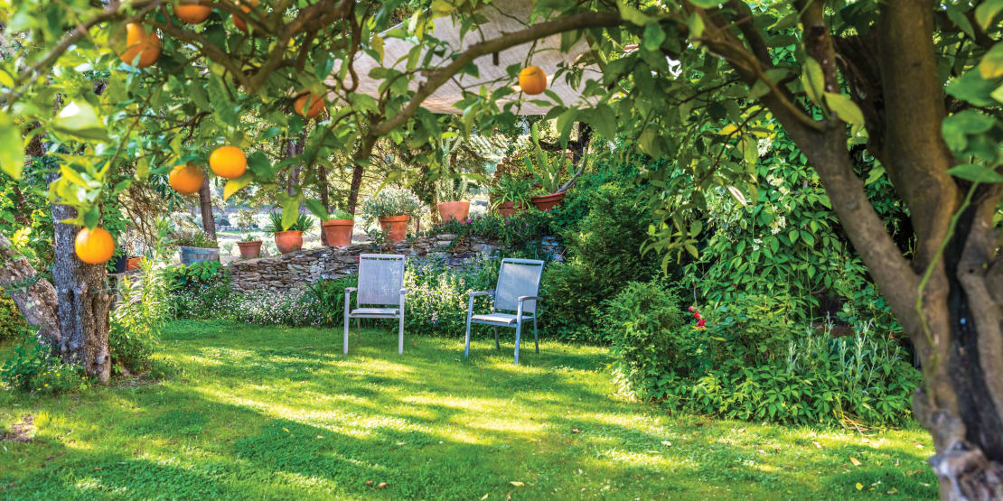 Five quick and easy garden makeovers
