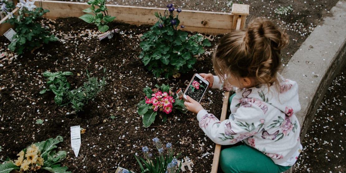 Summer planting with kids