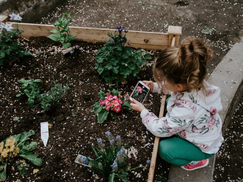 Summer Planting With Kids