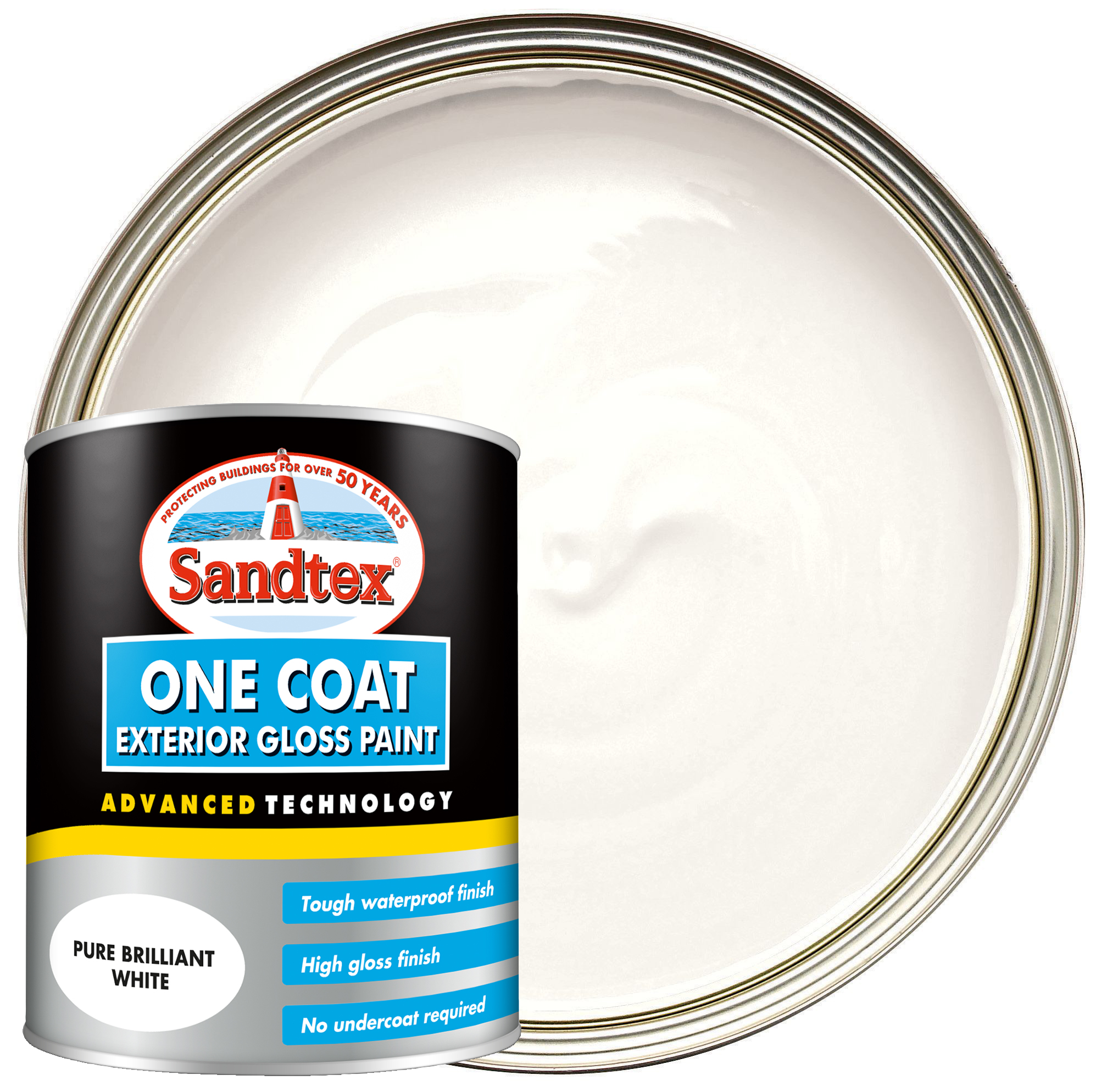 Image of Sandtex One Coat Exterior Gloss Paint - Pure Brilliant White - 750ml