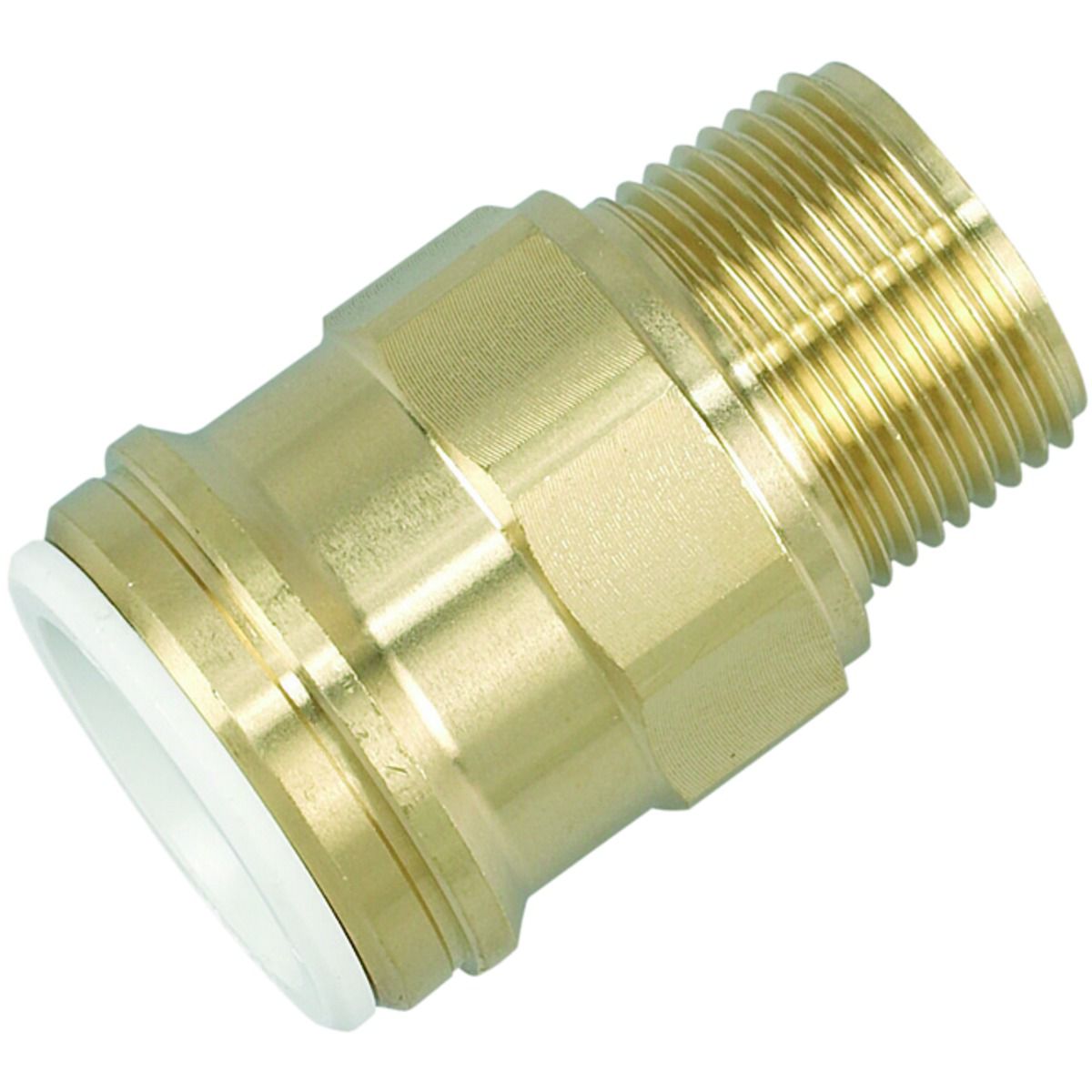 Image of John Guest Speedfit 22MC(3/4)P Cylinder Connector Male - Brass 19 x 22mm