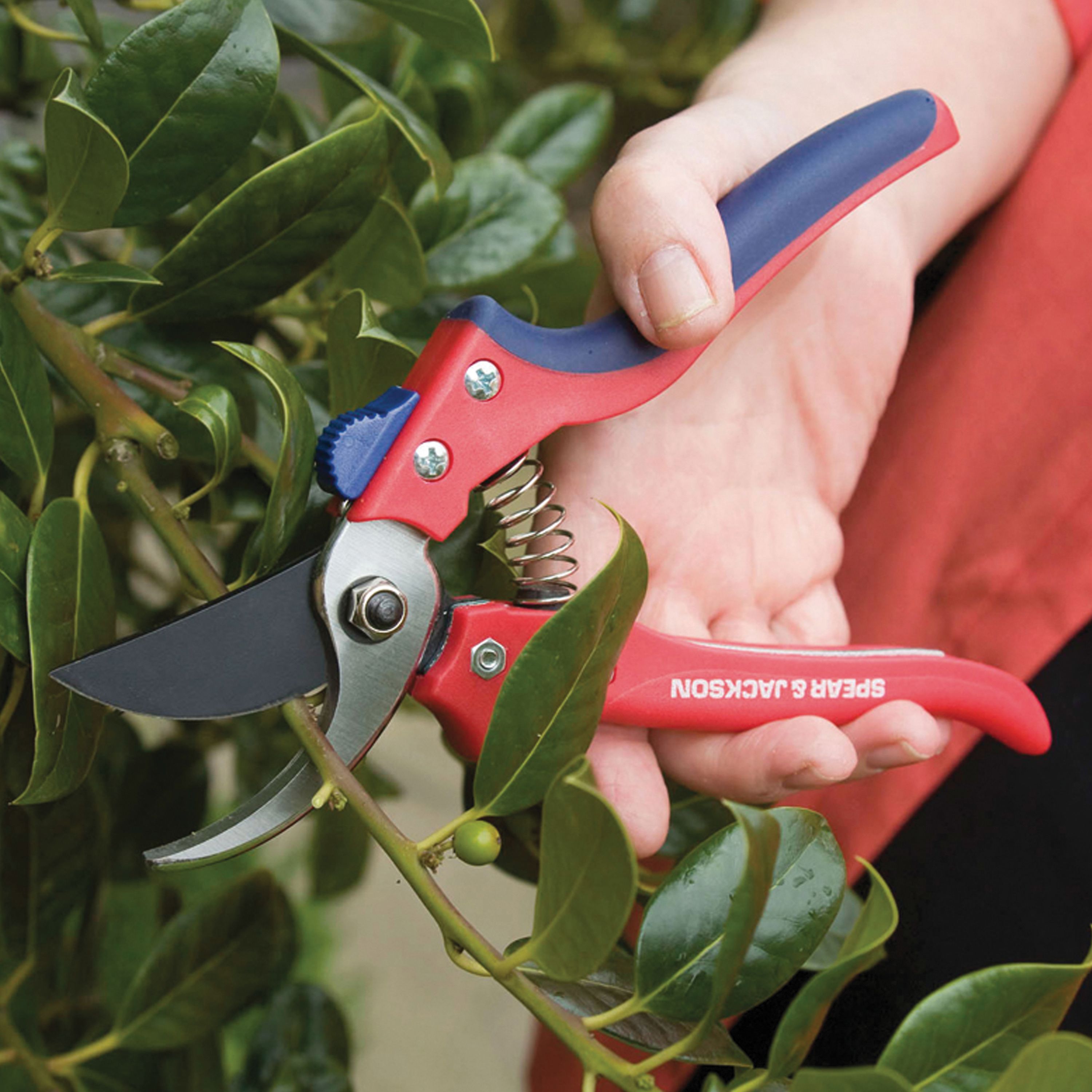 Garden Shears