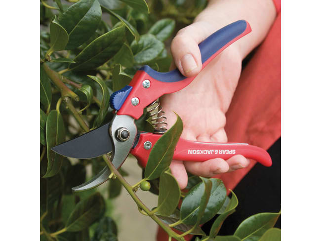 Garden Cutting Tools