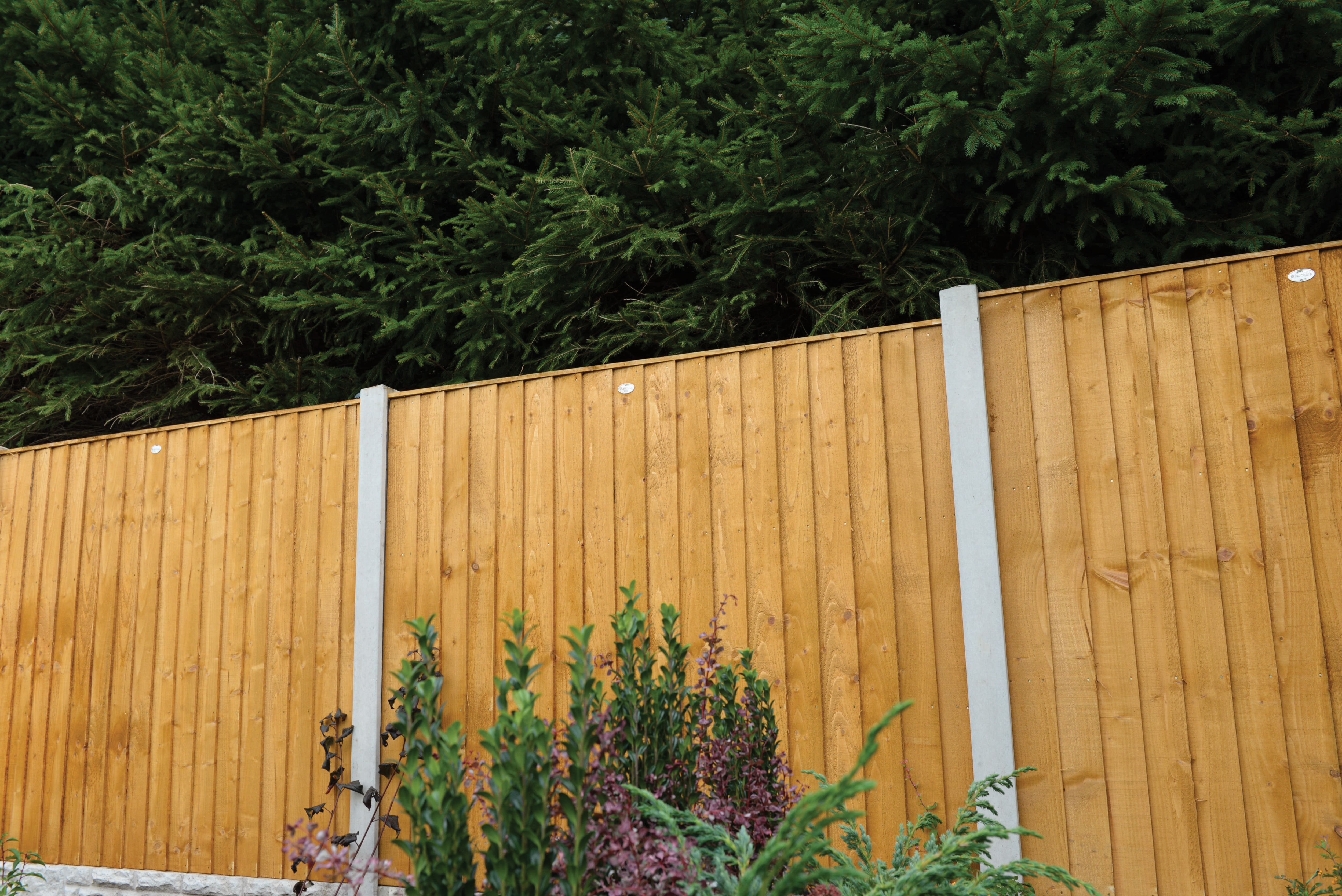 Forest Garden Dip Treated Featheredge Fence Panel - 6 x 6ft