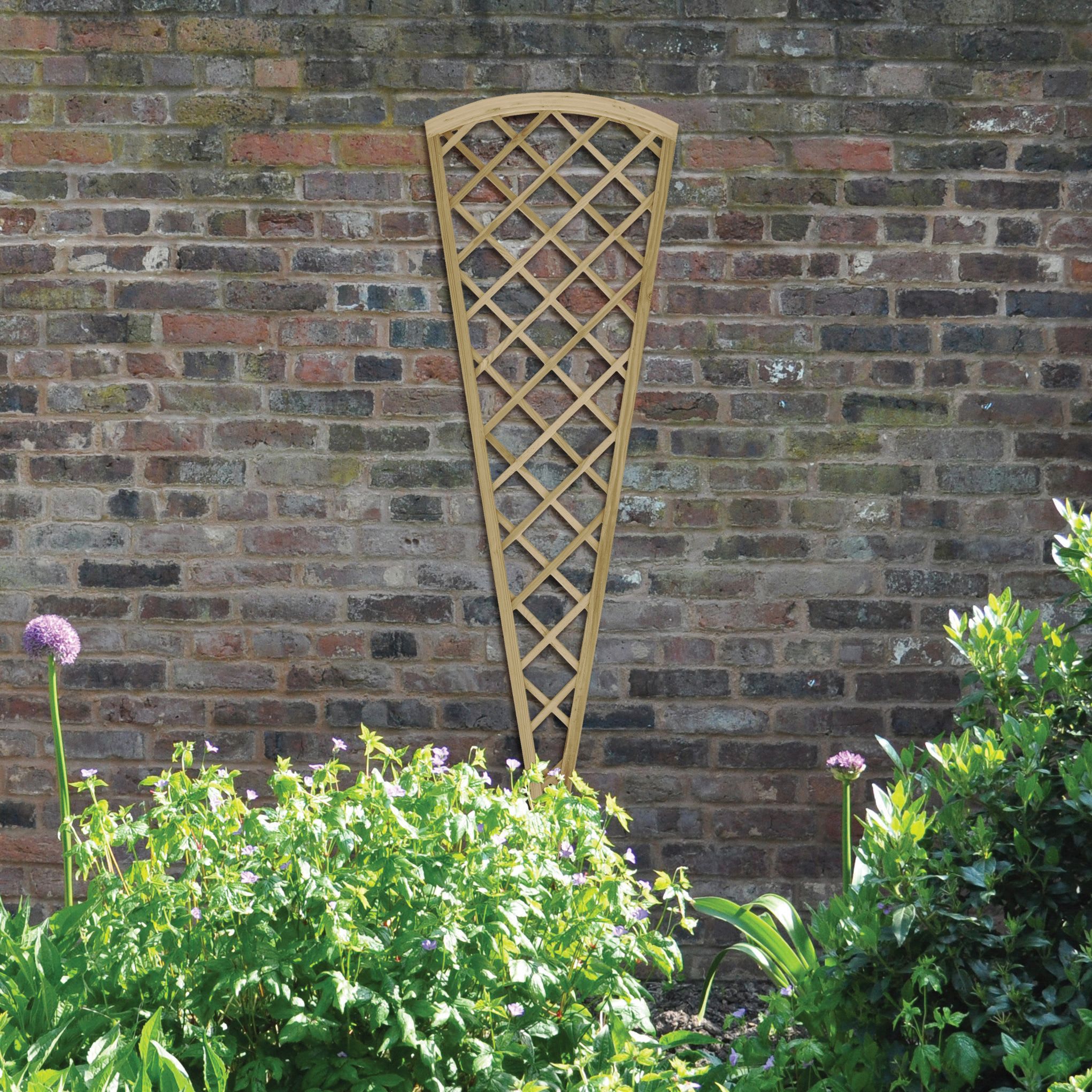 Offer Wickes Wickes Traditional Fan Trellis 600 x 1800mm