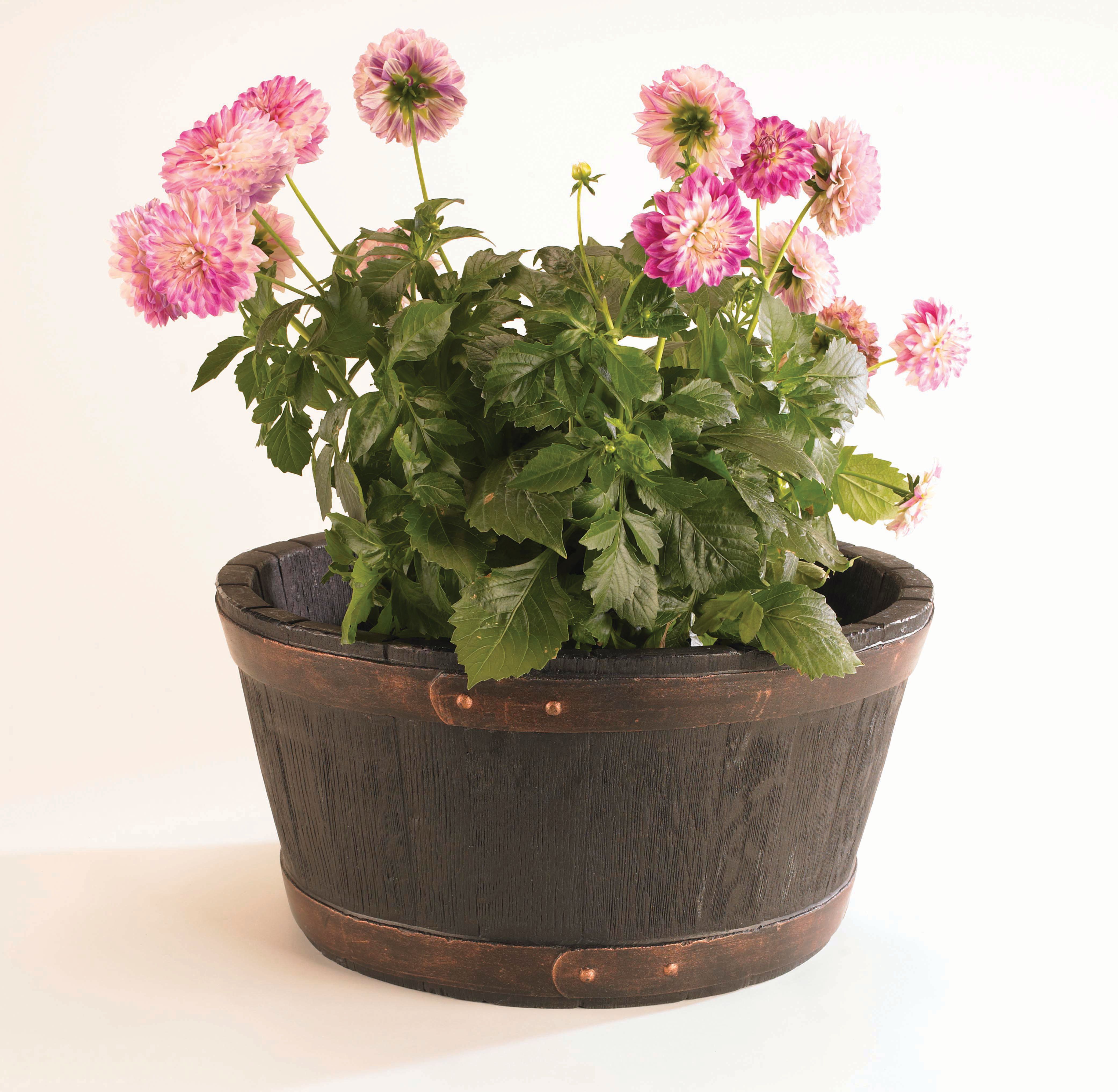 Image of Sankey Oakwood Effect Plant Pot - 490mm