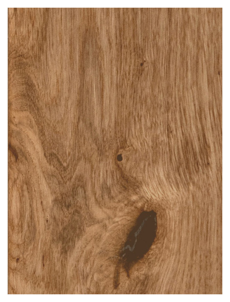 W by Woodpecker American Light Oak 10mm Engineered Wood Flooring - Sample