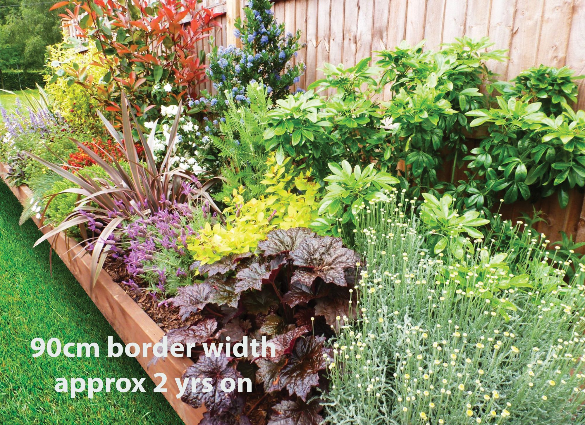 Image of Garden on a Roll Mixed Sunny Plant Border - 600mm x 4m