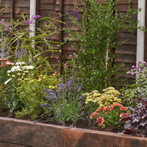 Image of Garden on a Roll Wildlife Plant Border - 600mm x 4m