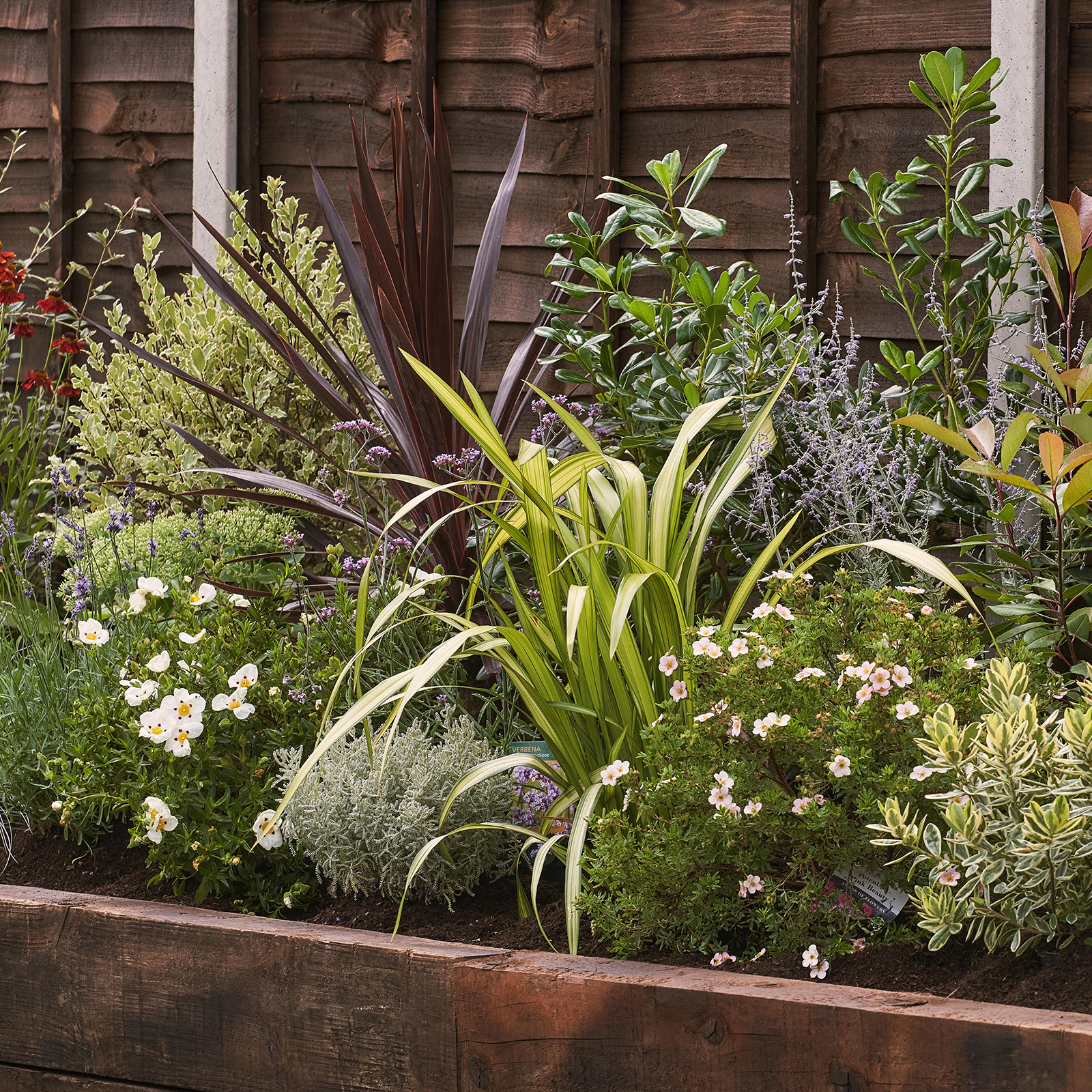 Image of Garden on a Roll Mediterranean Plant Border - 600mm x 3m