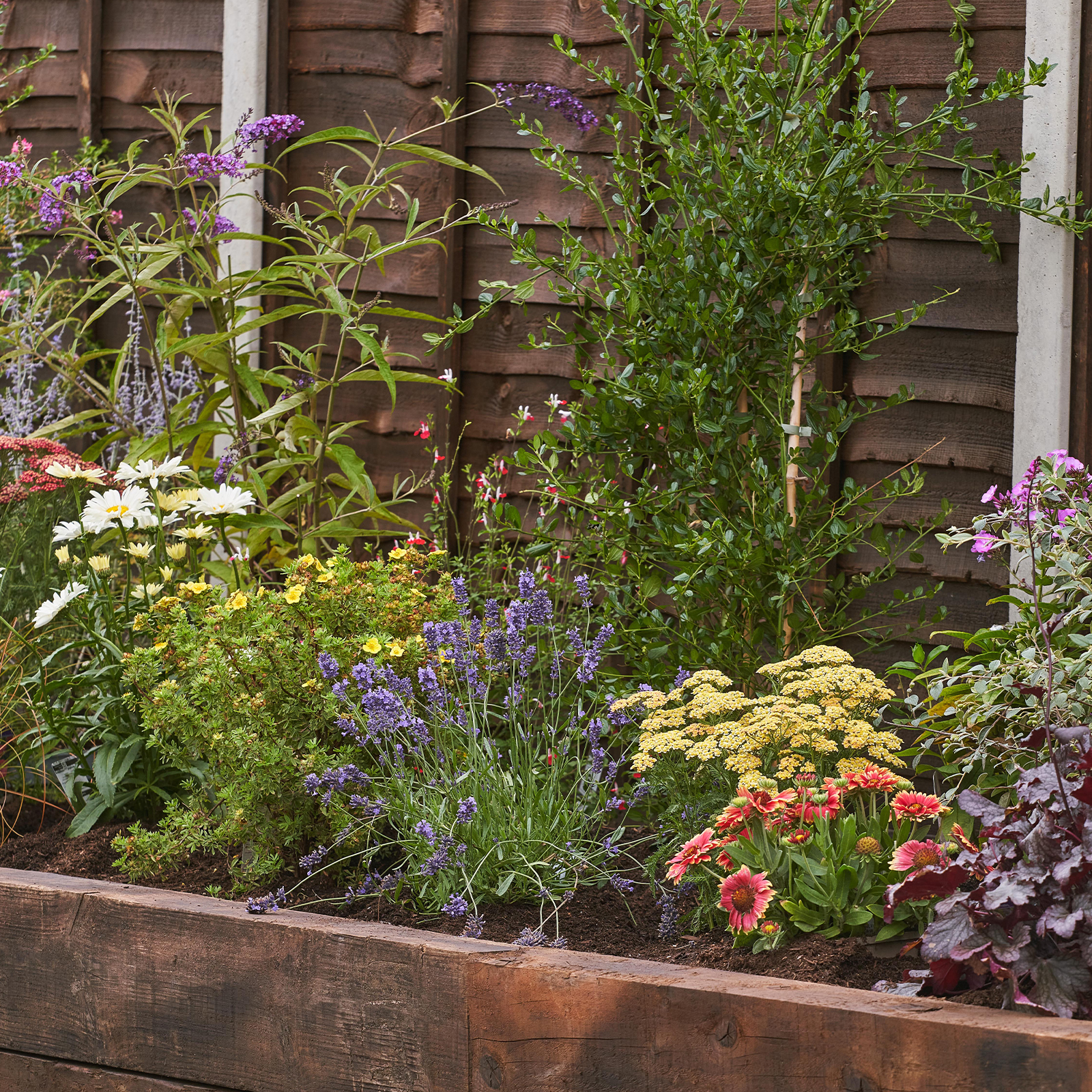 Image of Garden on a Roll Wildlife Plant Border - 900mm x 3m