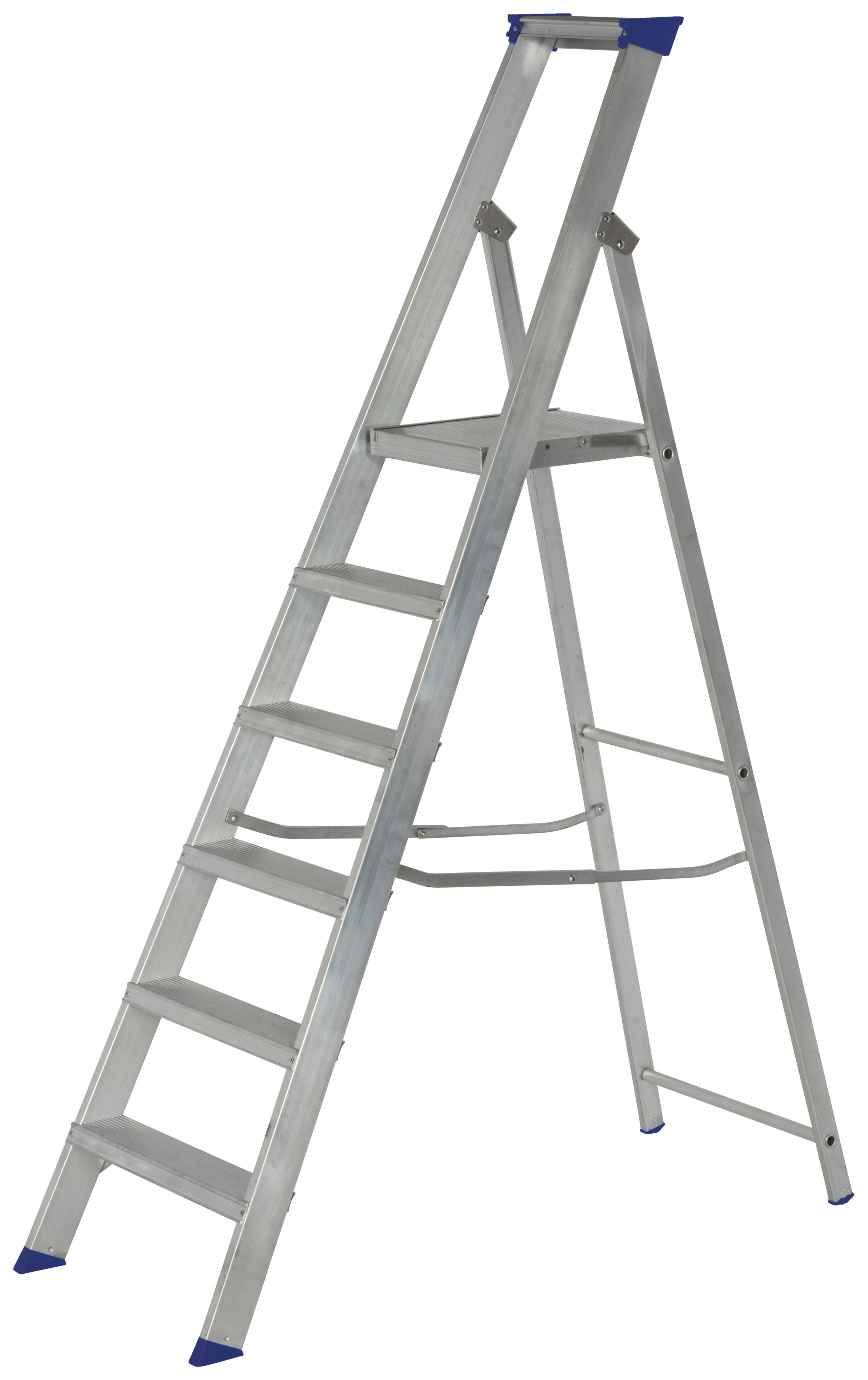 Werner MasterTrade 6 Tread Aluminium Platform Stepladder