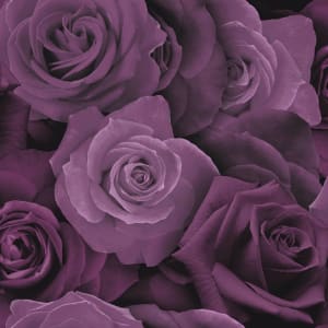 Arthouse Austin Rose Purple Wallpaper 10.05m x 53cm