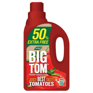 Westland Big Tom Super Tomato Food - 1.25L (+50% Extra Free)