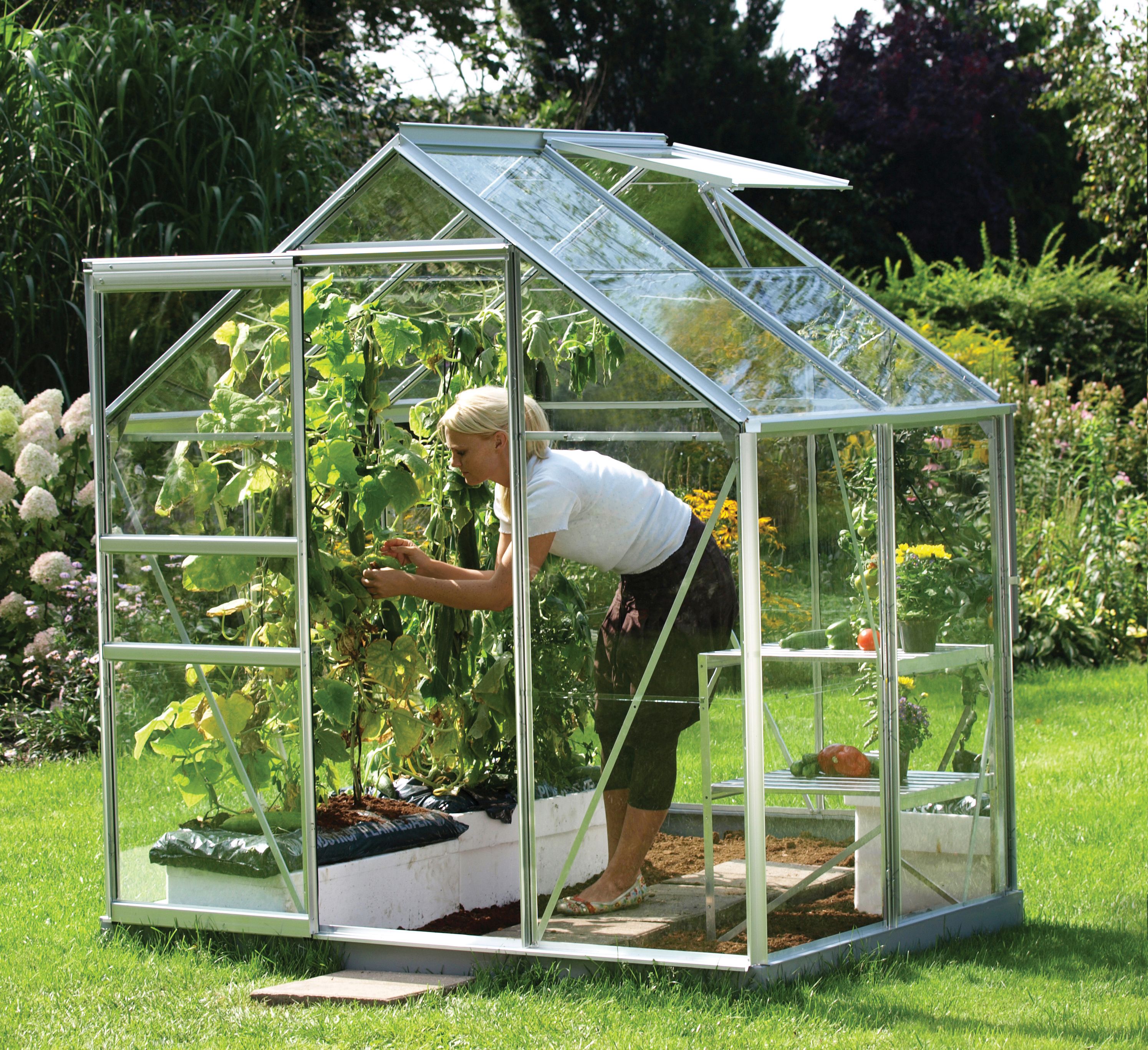 Image of Vitavia Venus 6 x 4ft Toughened Glass Greenhouse with Steel Base