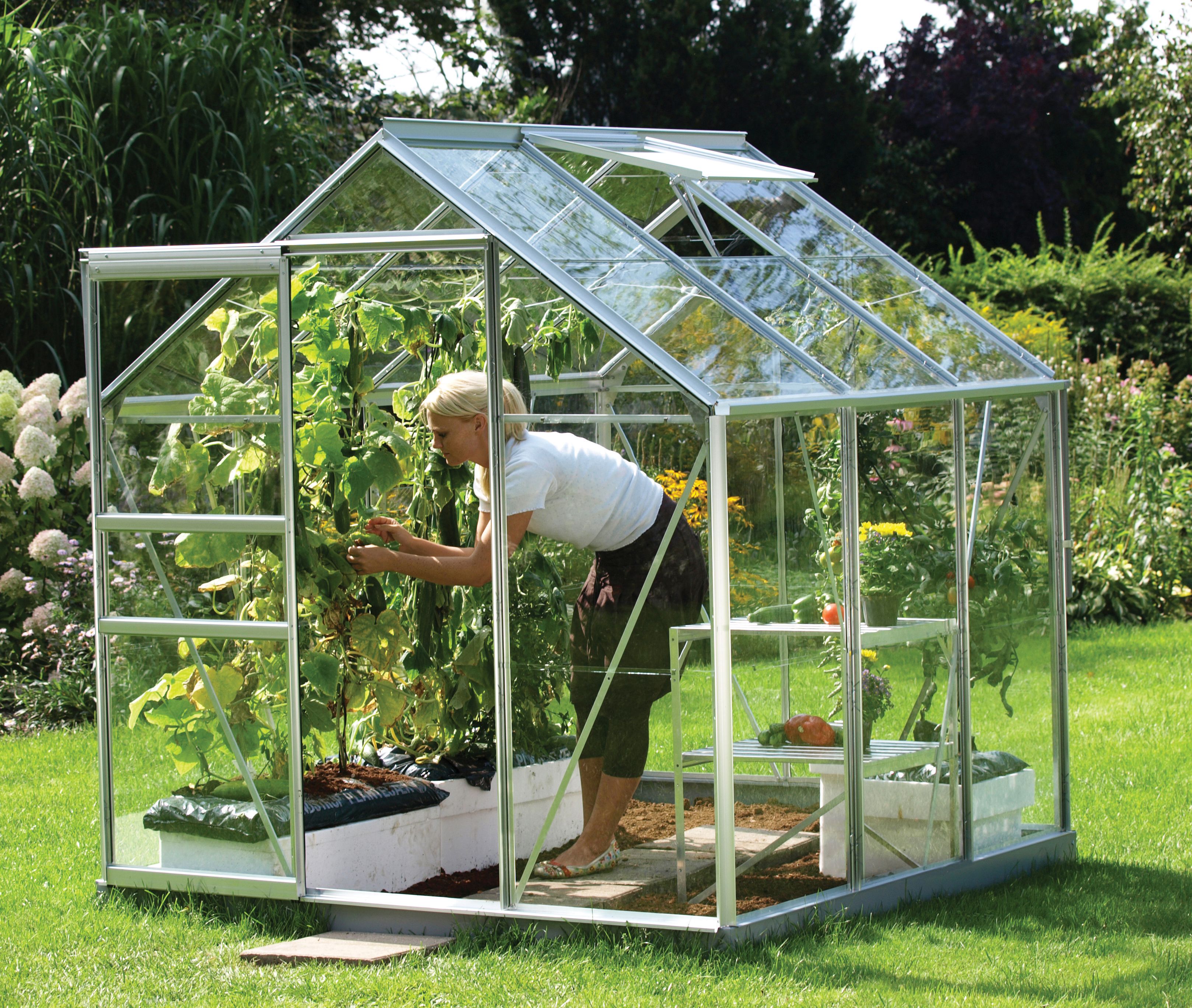 Image of Vitavia Venus 6 x 6ft Toughened Glass Greenhouse with Steel Base