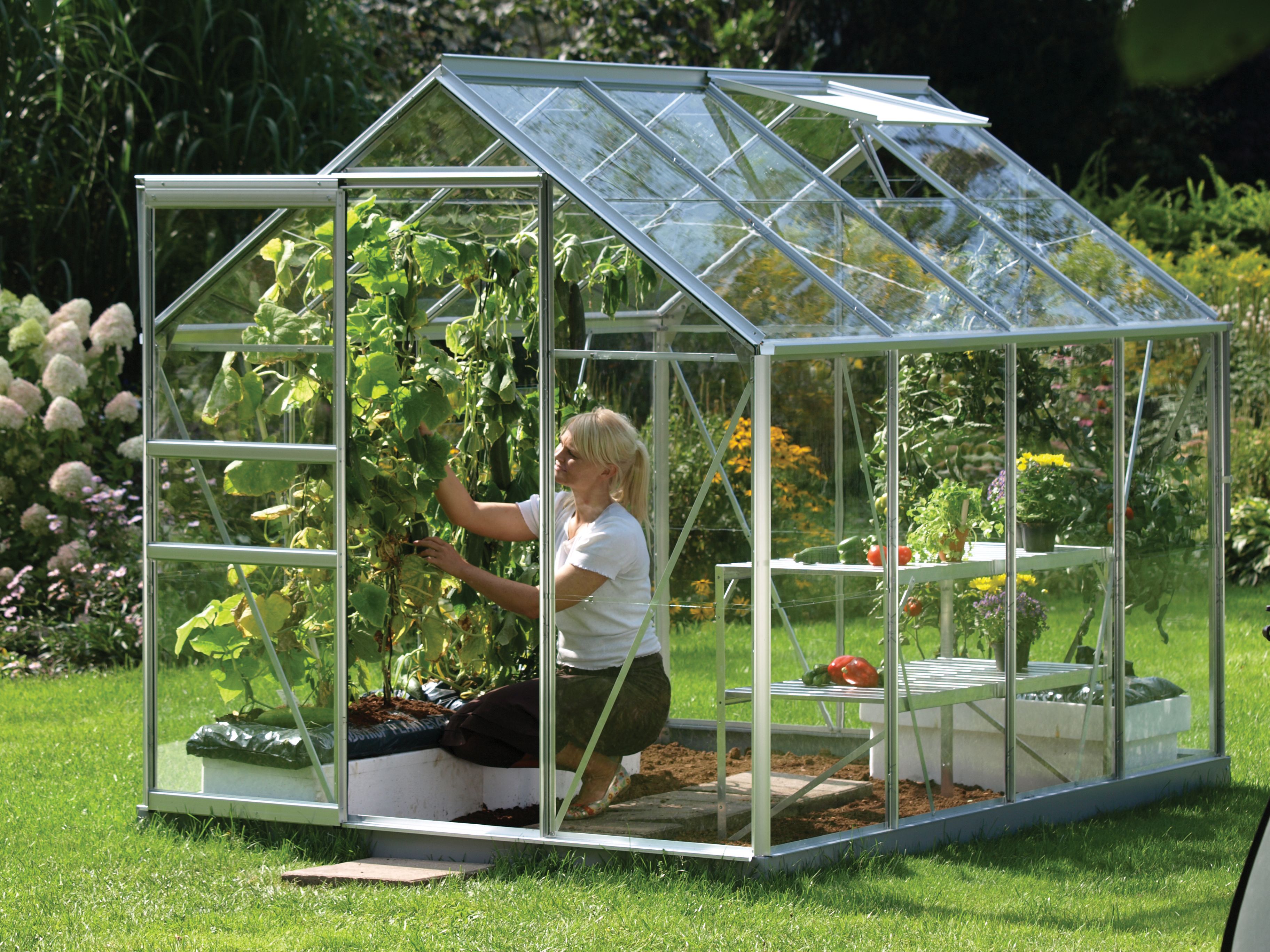 Image of Vitavia Venus 8 x 6ft Horticultural Glass Greenhouse with Steel Base