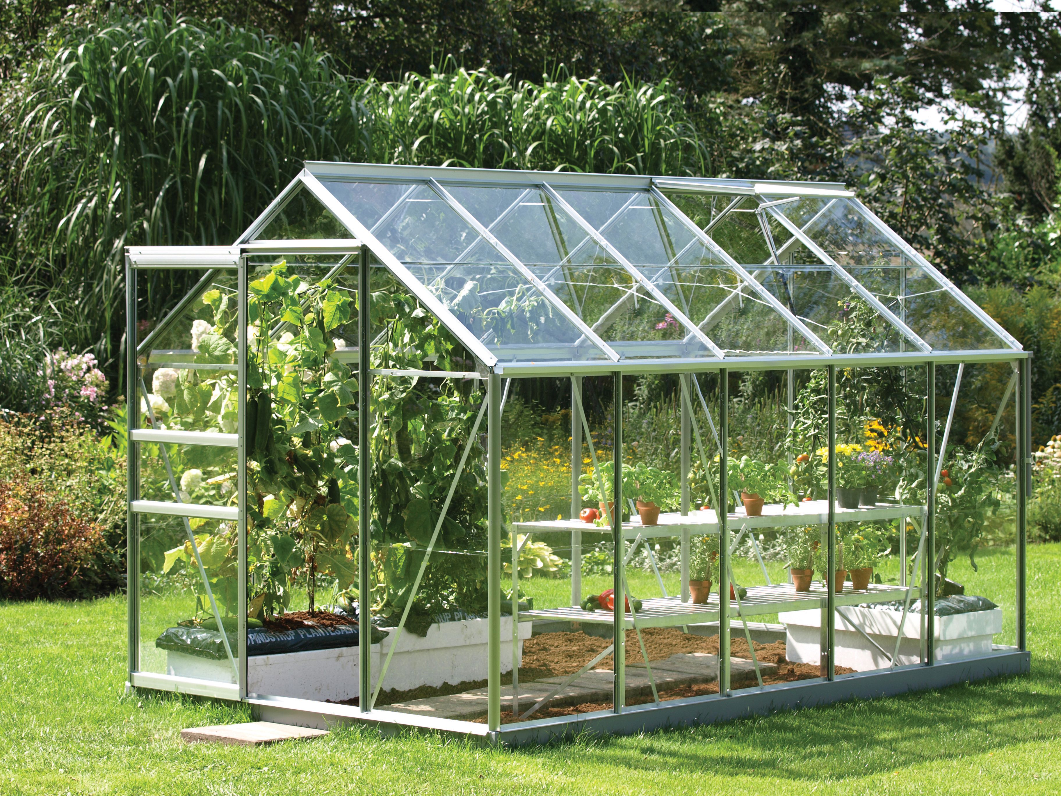 Image of Vitavia Venus 6 x 10ft Toughened Glass Greenhouse with Steel Base