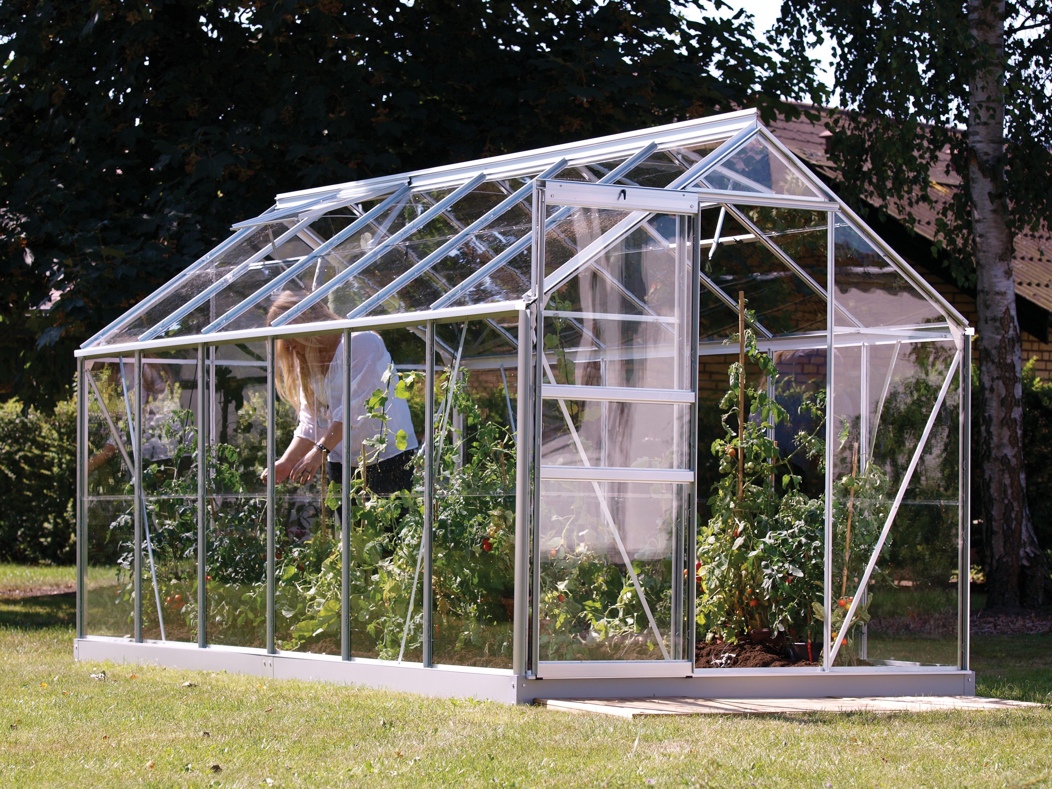 Image of Vitavia Venus 6 x 12ft Toughened Glass Greenhouse with Steel Base
