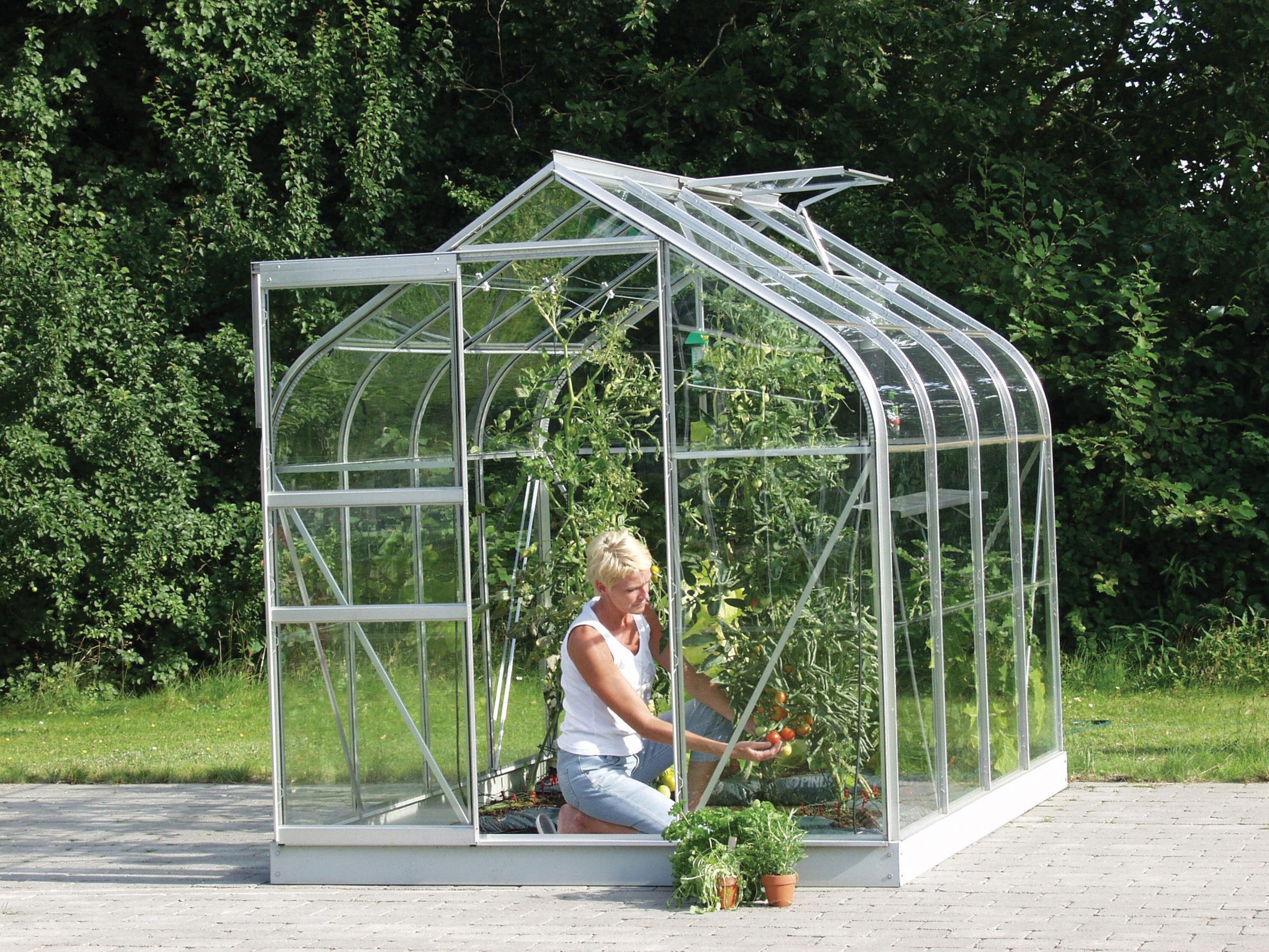 Image of Vitavia Orion Curved Roof 6 x 8ft Toughened Glass Greenhouse with Steel Base