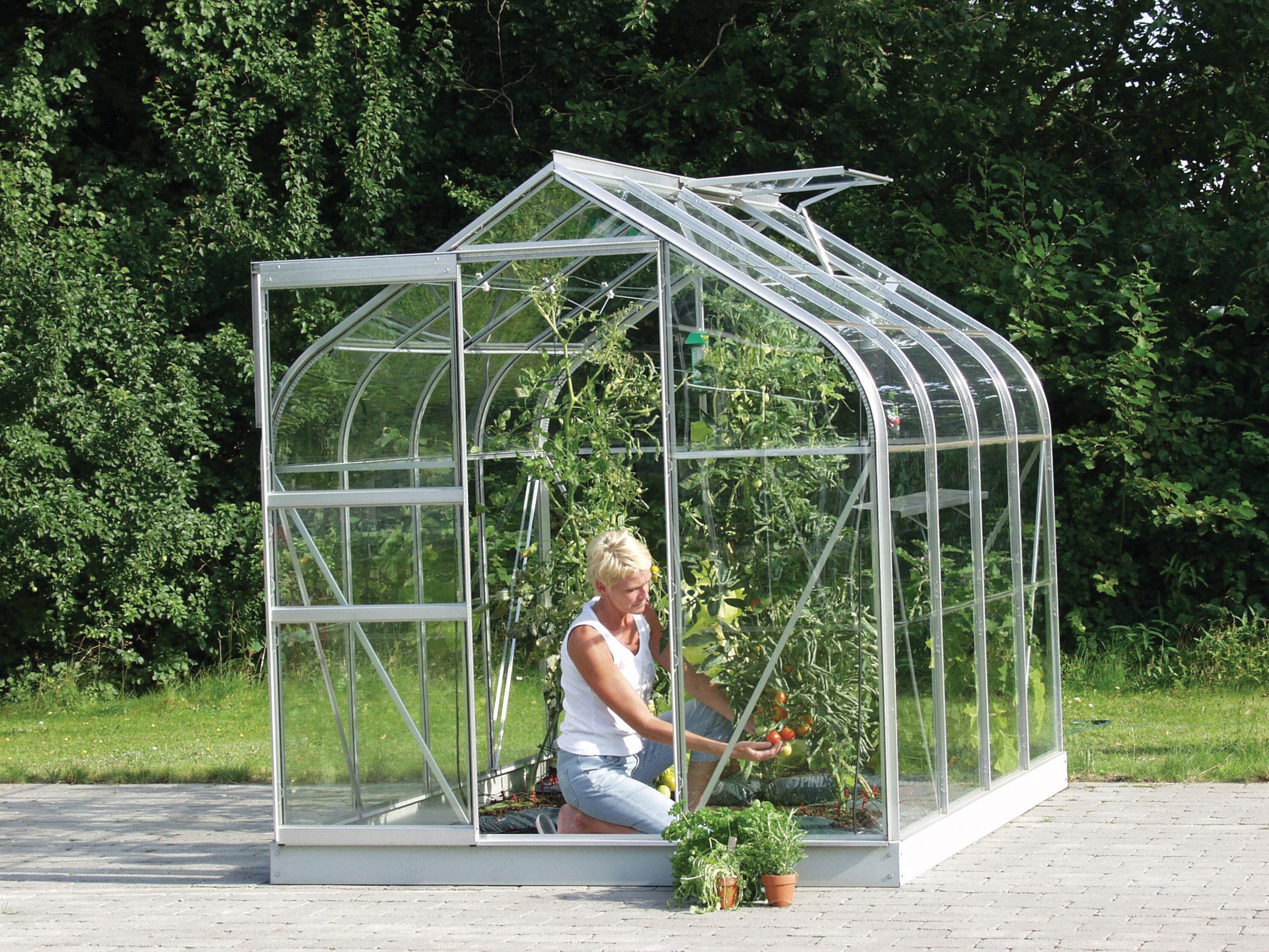 Vitavia Orion Curved Roof 6 x 8ft Toughened Glass Greenhouse with Steel Base