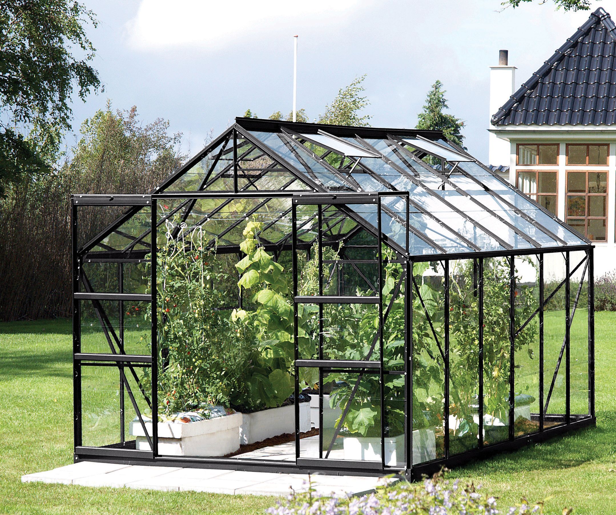 Image of Vitavia Jupiter 8 x 12ft Black Toughened Glass Greenhouse with Steel Base