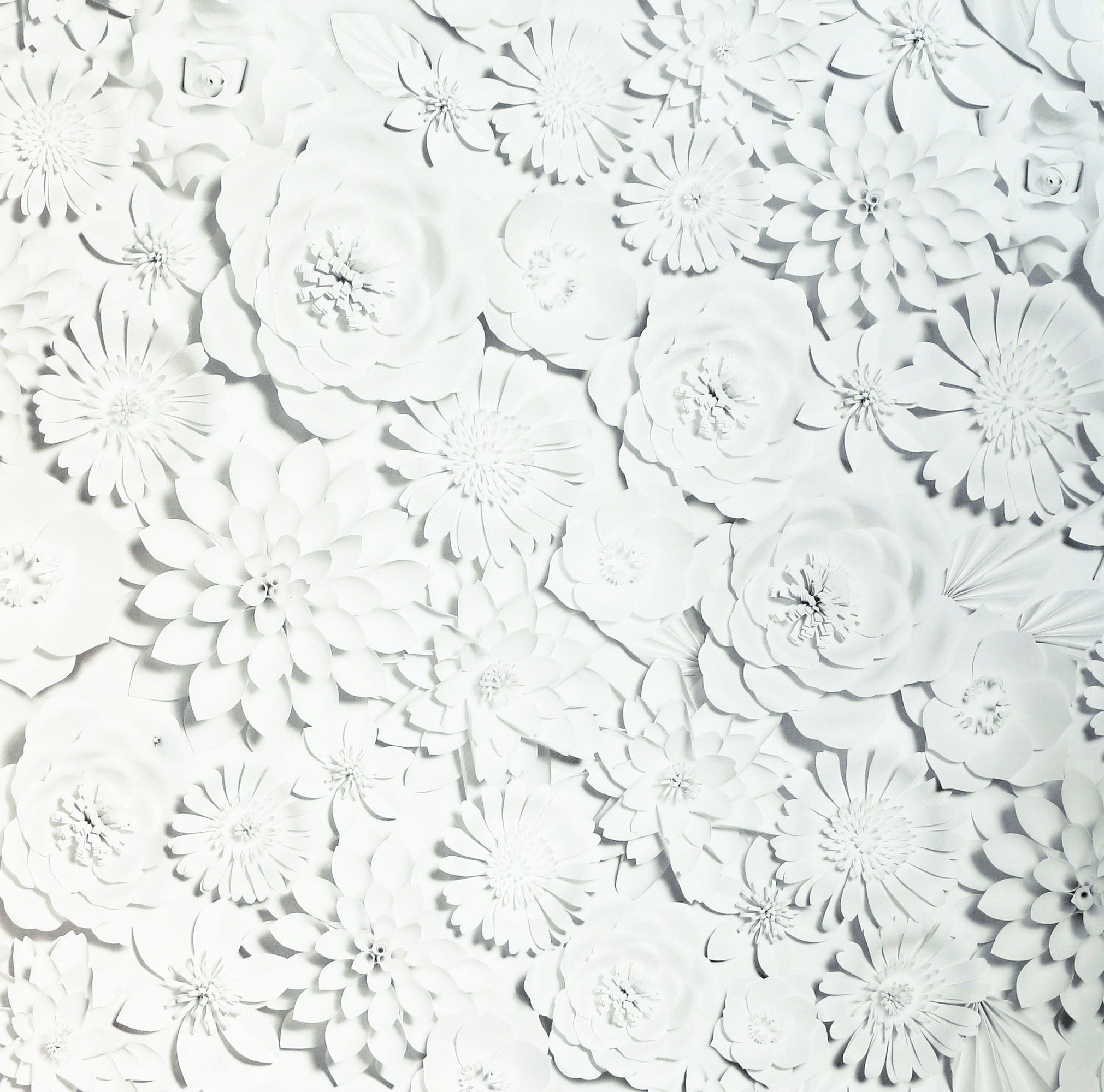 Image of Arthouse 3D Flower Wall White Wallpaper - 10.05m x 53cm