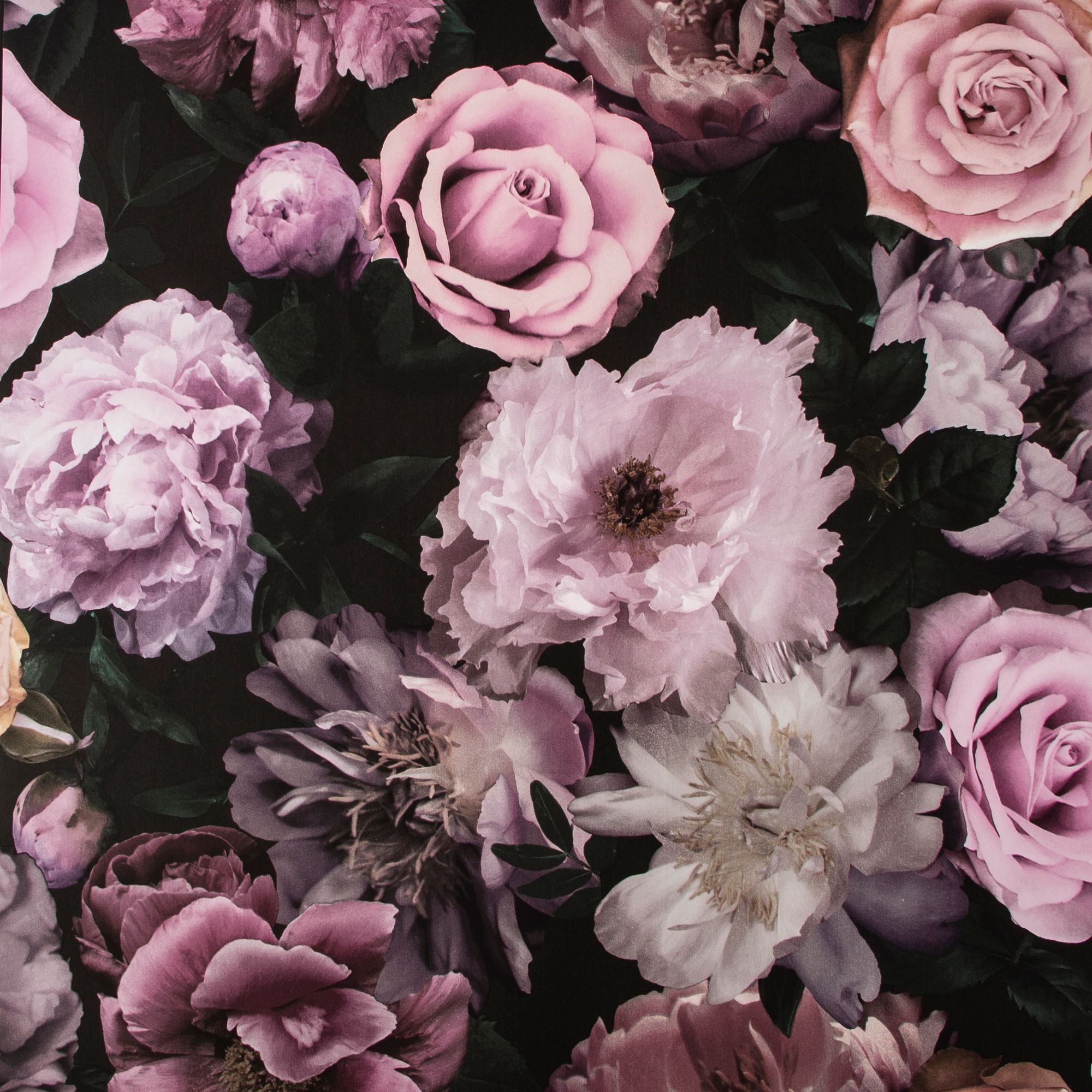Superfresco Pandora Drama Pink Wallpaper -10m