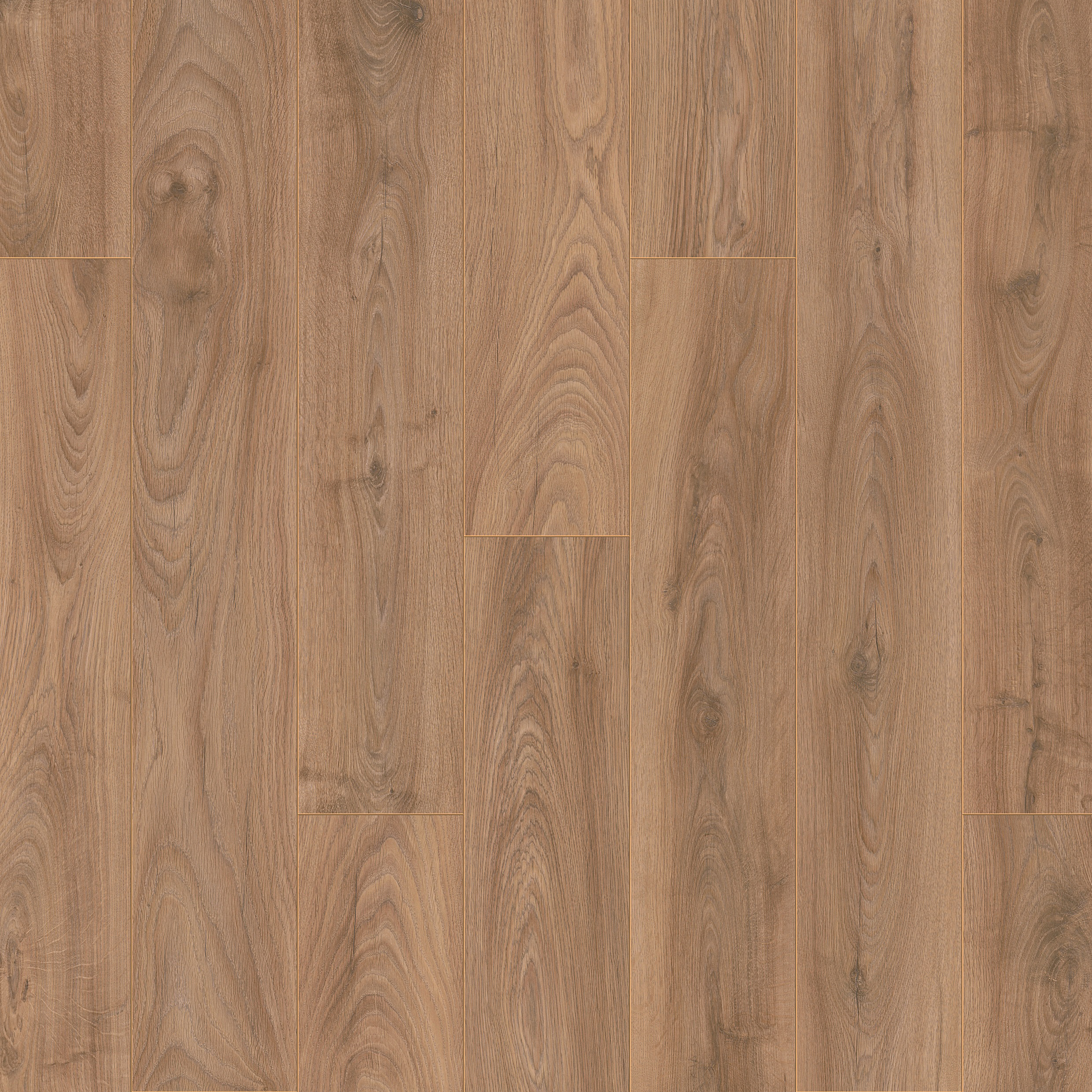 Image of Windsor Light Oak 8mm Laminate Flooring - 2.22m2
