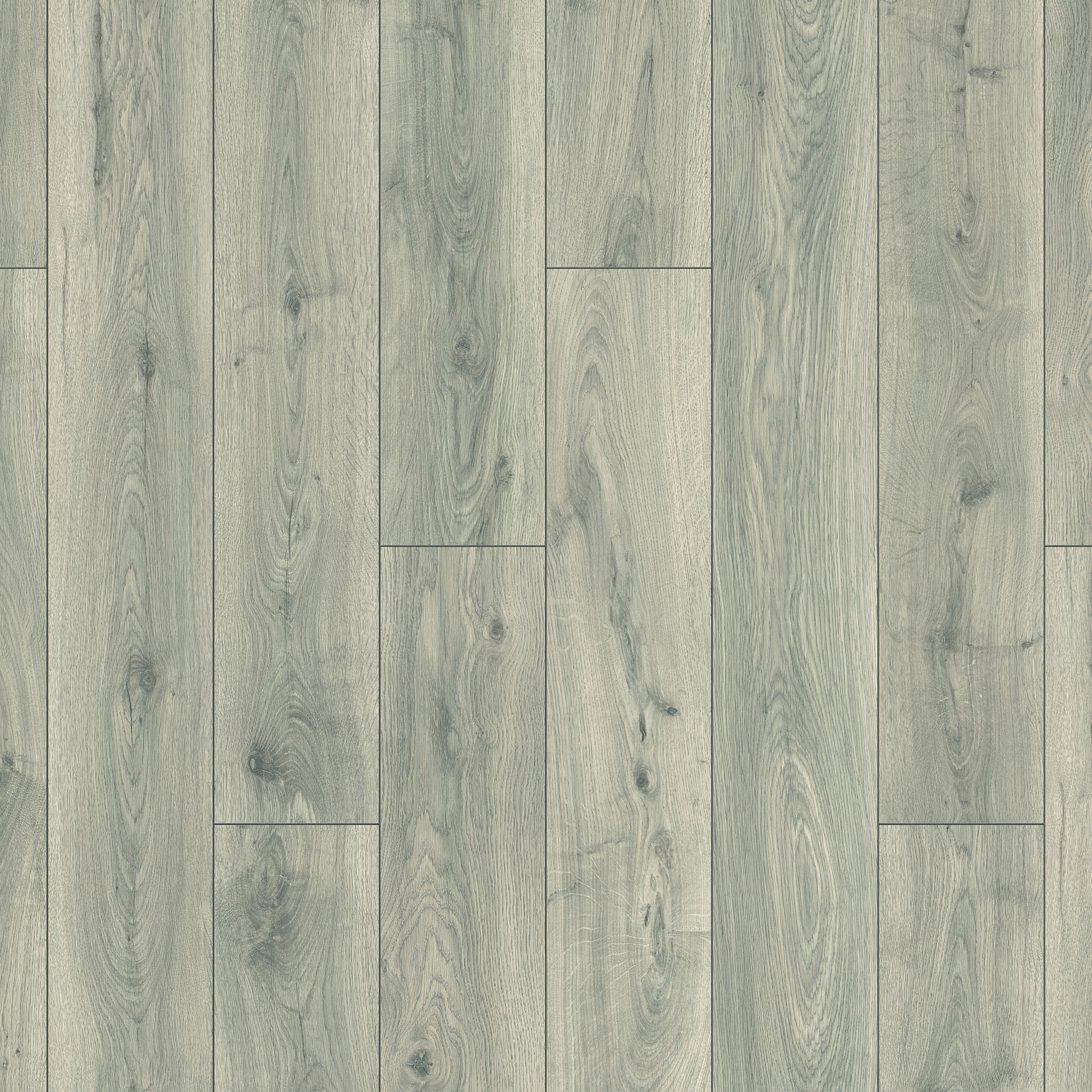Image of Castleton Grey Oak 10mm Laminate Flooring - 1.73m2