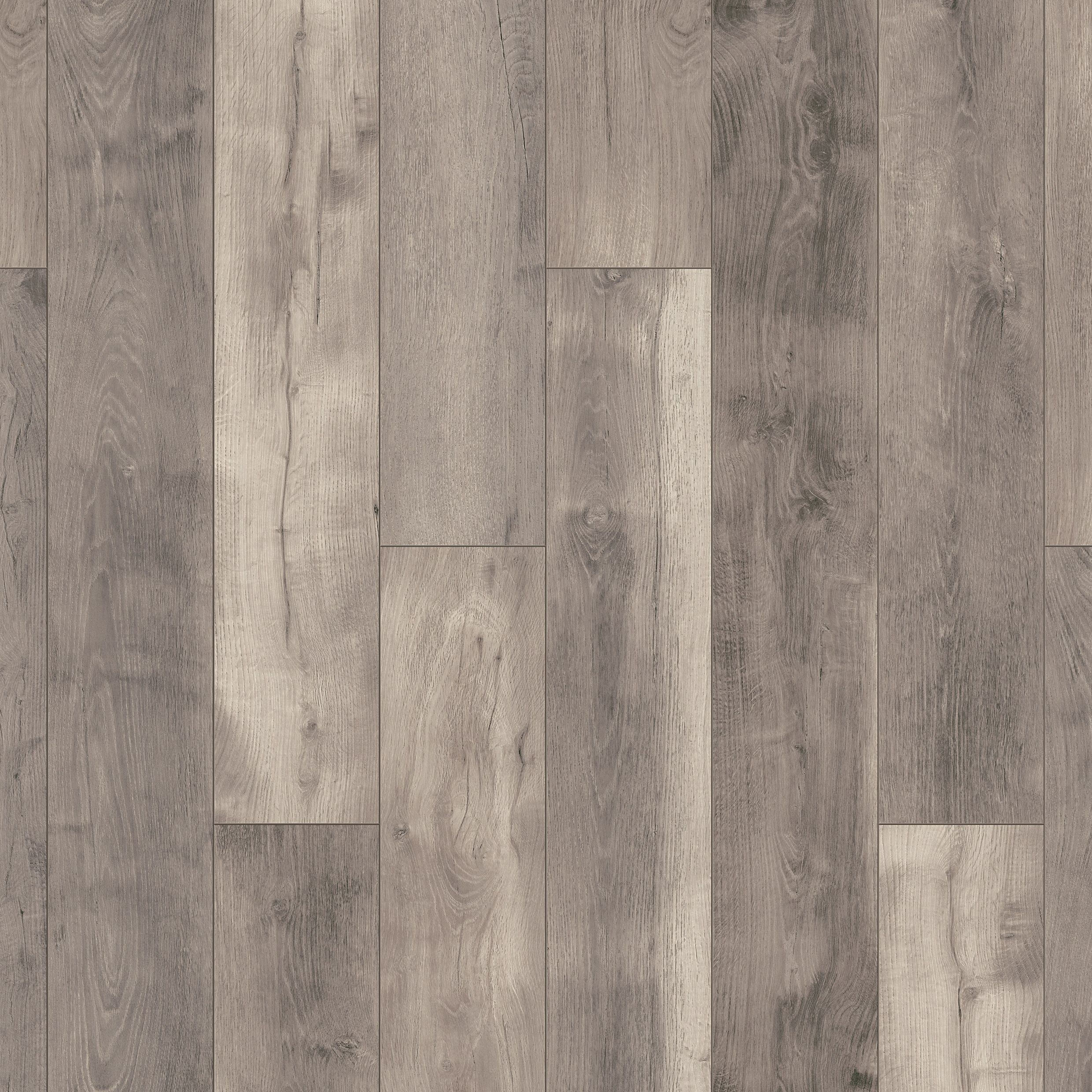 Image of BlackWater Grey Oak 10mm Laminate Flooring - 1.73m2